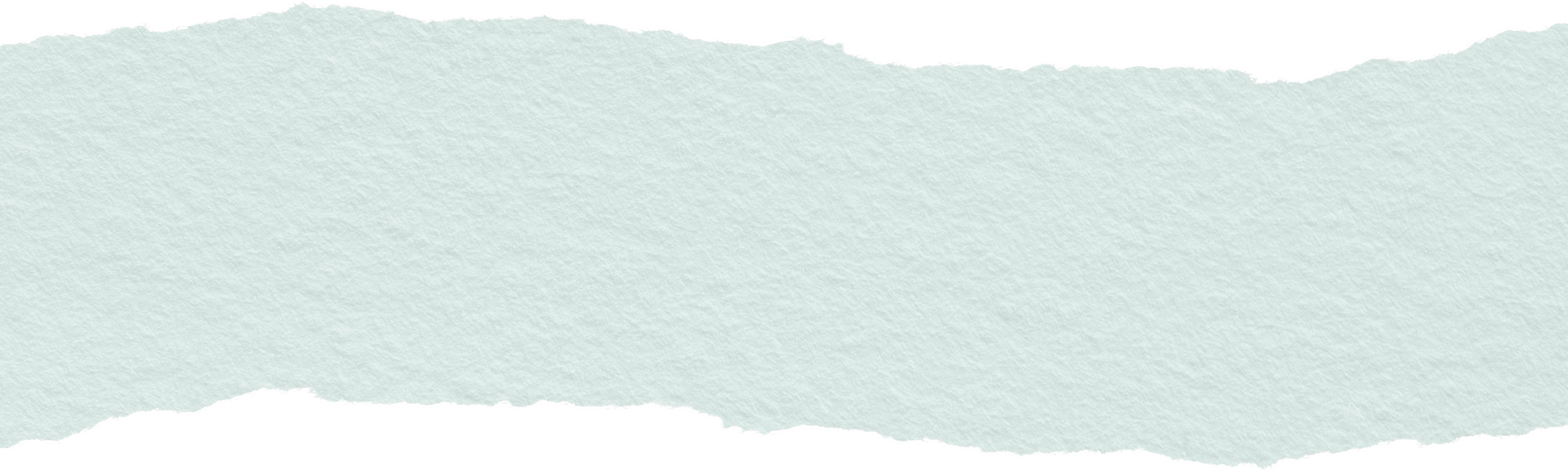 An organic edged piece of paper detail with a textured surface against a plain background.