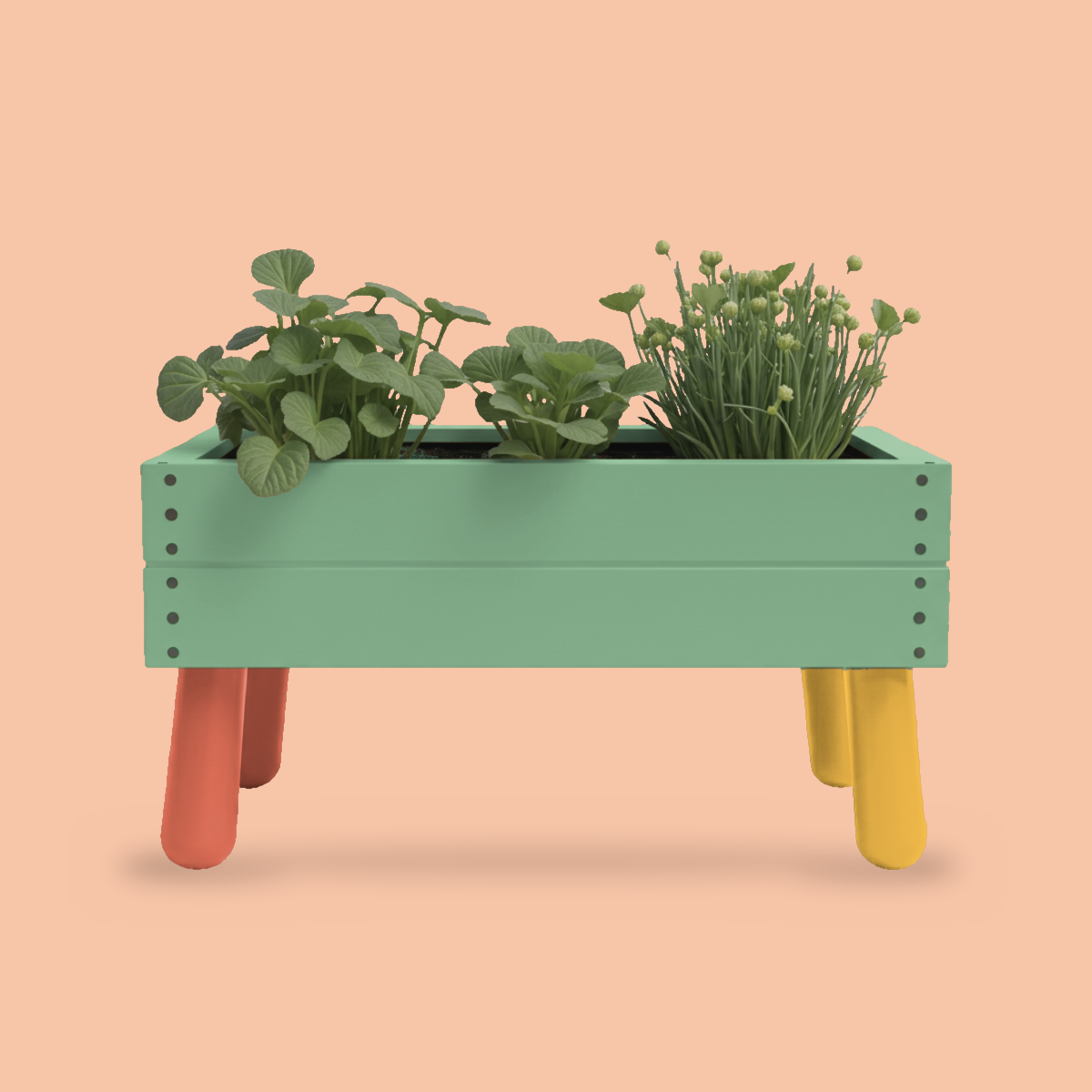 little-roots-04-saliegroen.png