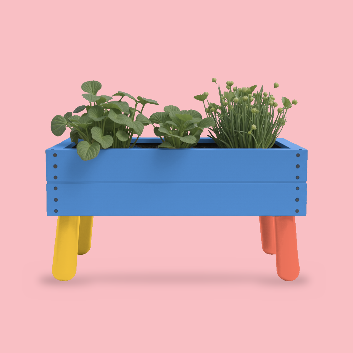 little-roots-02-blauw.png