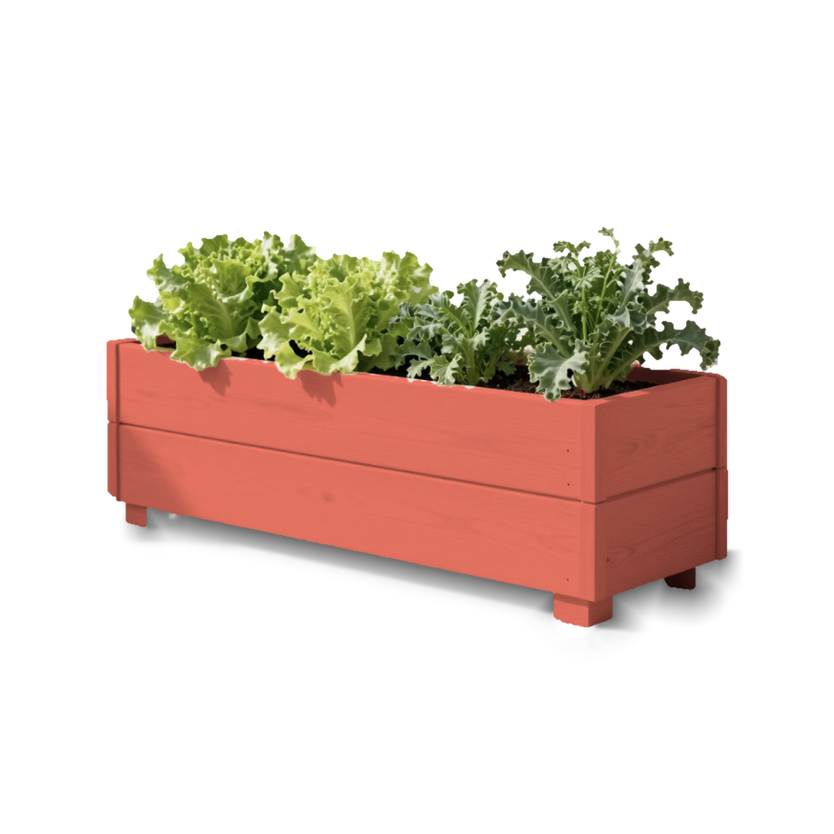 plantenbak-04-koraal-transparant.png