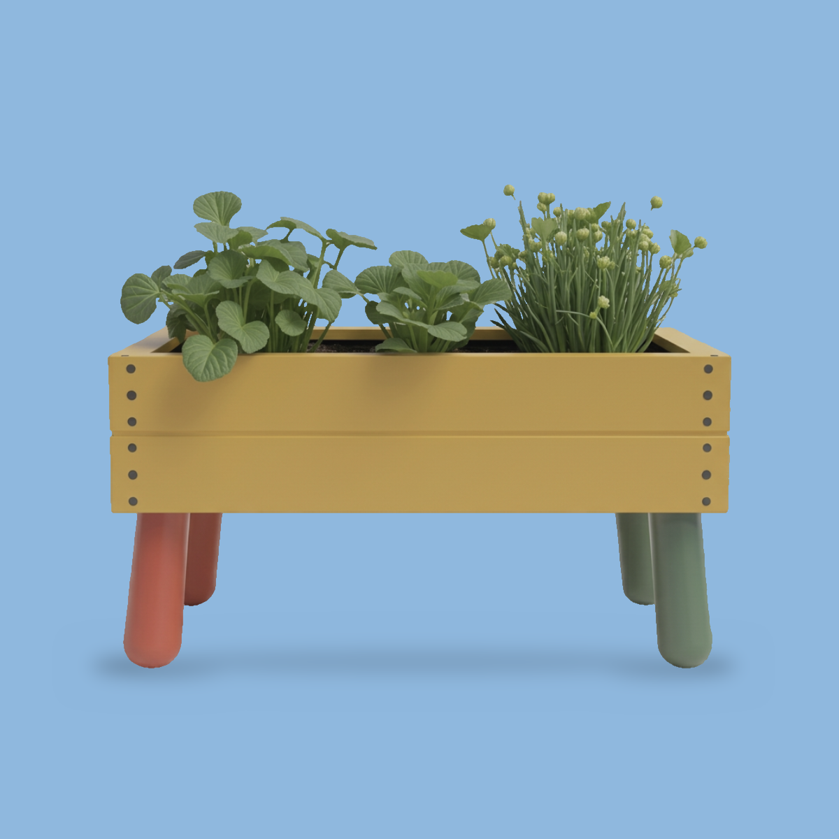 little-roots-01-oker-origineel.png