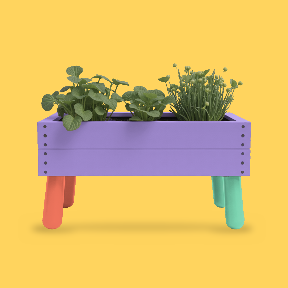 little-roots-05-lila.png
