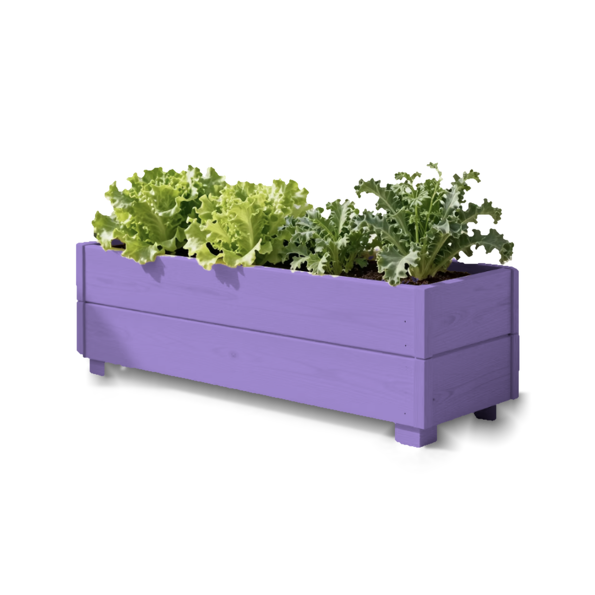 plantenbak-06-lila-transparant.png