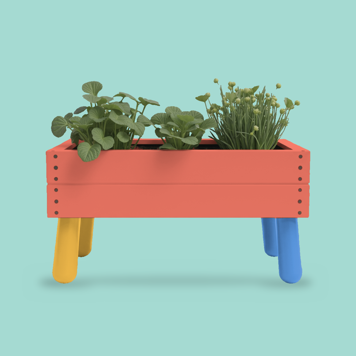 little-roots-03-koraal.png