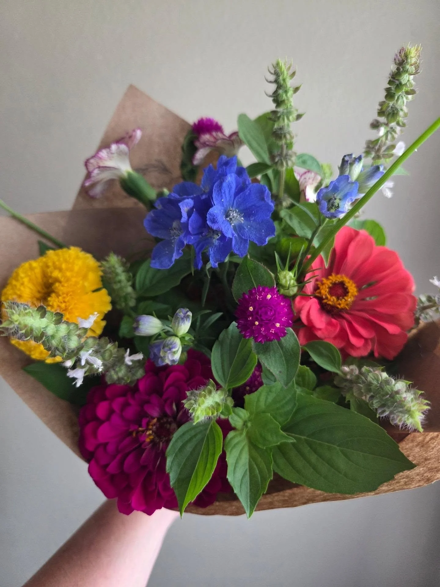 Monthly Blooms