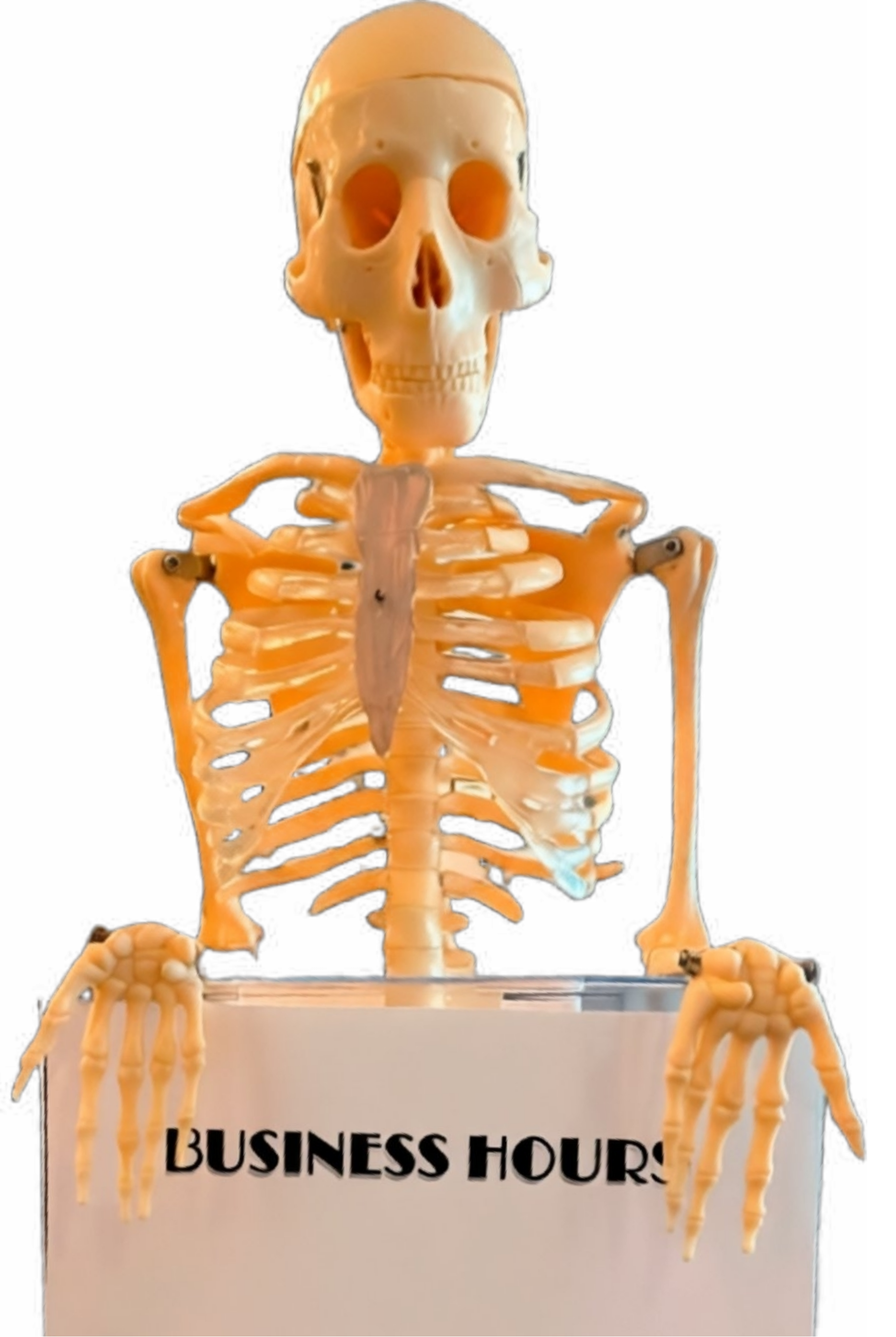 A plastic skeleton with a skull and ribs positioned above a sign that reads 'BUSINESS HOURS'.