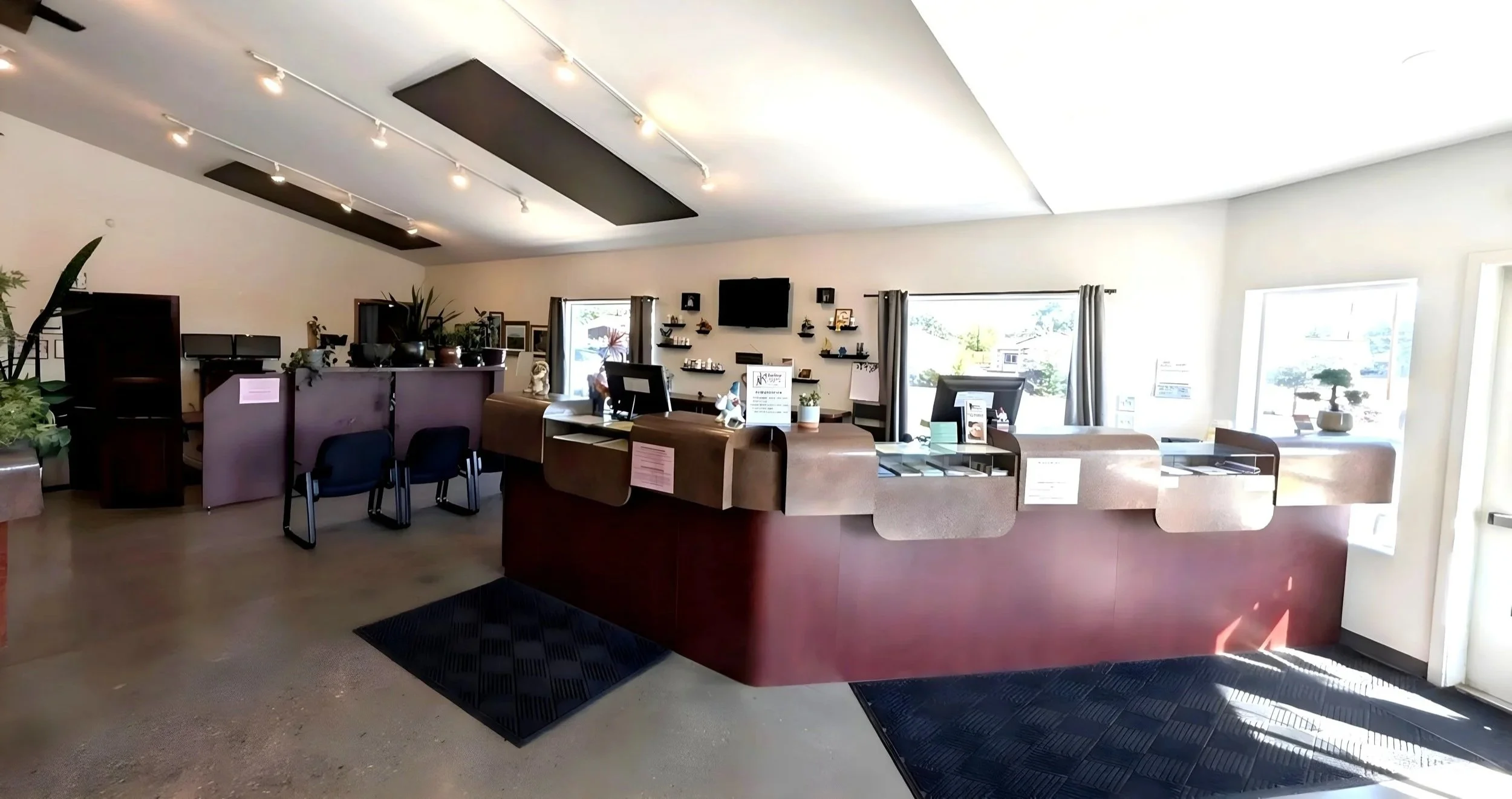 Interior view of an office or reception area with a curved desk, computer stations, and decorative plants. Large windows on the right let in natural light, and walls are decorated with shelves, artwork, and a mounted TV. The ceiling has black acoustic panels and track lighting.