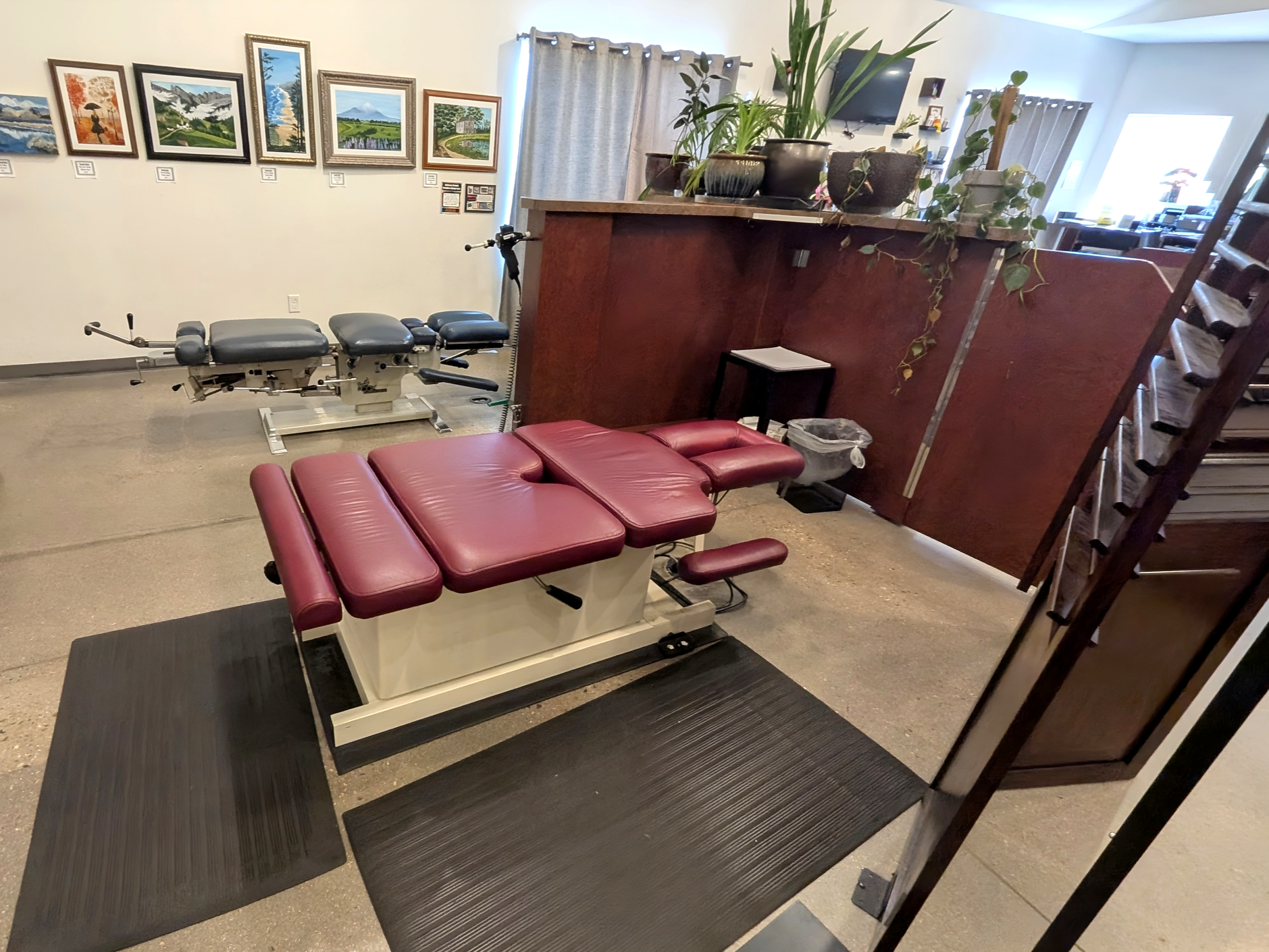 Interior of a chiropractor's office with treatment table, wall art, plants, and seating area.
