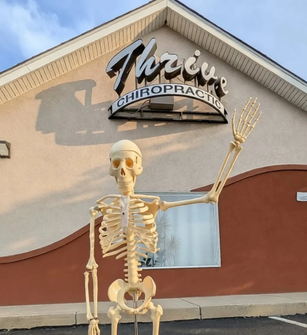 A skeleton model standing outside a chiropractic clinic, waving with one arm. The clinic's sign reads 'Thrive Chiropractic' and is mounted on the building's facade.