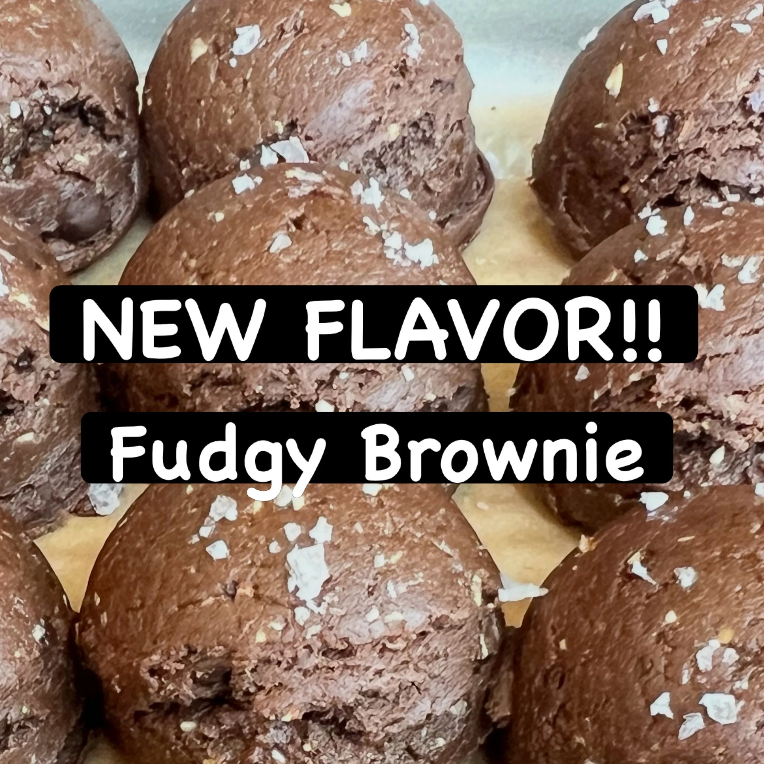 🚨 NEW FLAVOR: FUDGY BROWNIE 🍫

She&rsquo;s finally here.

After lots of testing, tweaking + taste-testing, Fudgy Brownie Busy Day Bites are officially joining the lineup.

Rich, chocolatey, soft + fudgy with just the right amount of sweetness, made