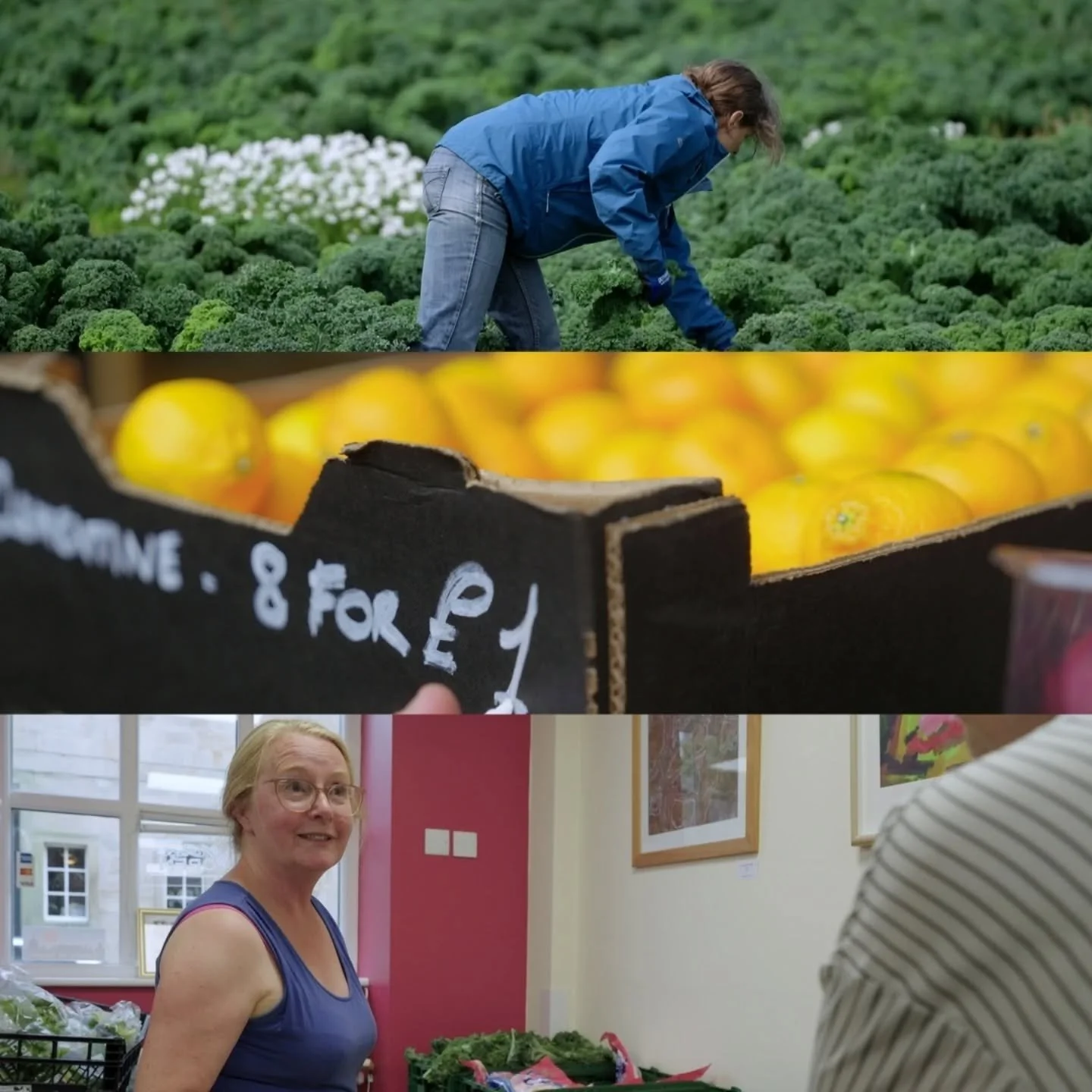 It's officially exactly 1 year since I joined @core_post. Here's some stills from one of the first shows I graded, Secrets Of Supercheap Shopping for @channel4. Its a nice little documentary series around how some businesses are helping tackle the co