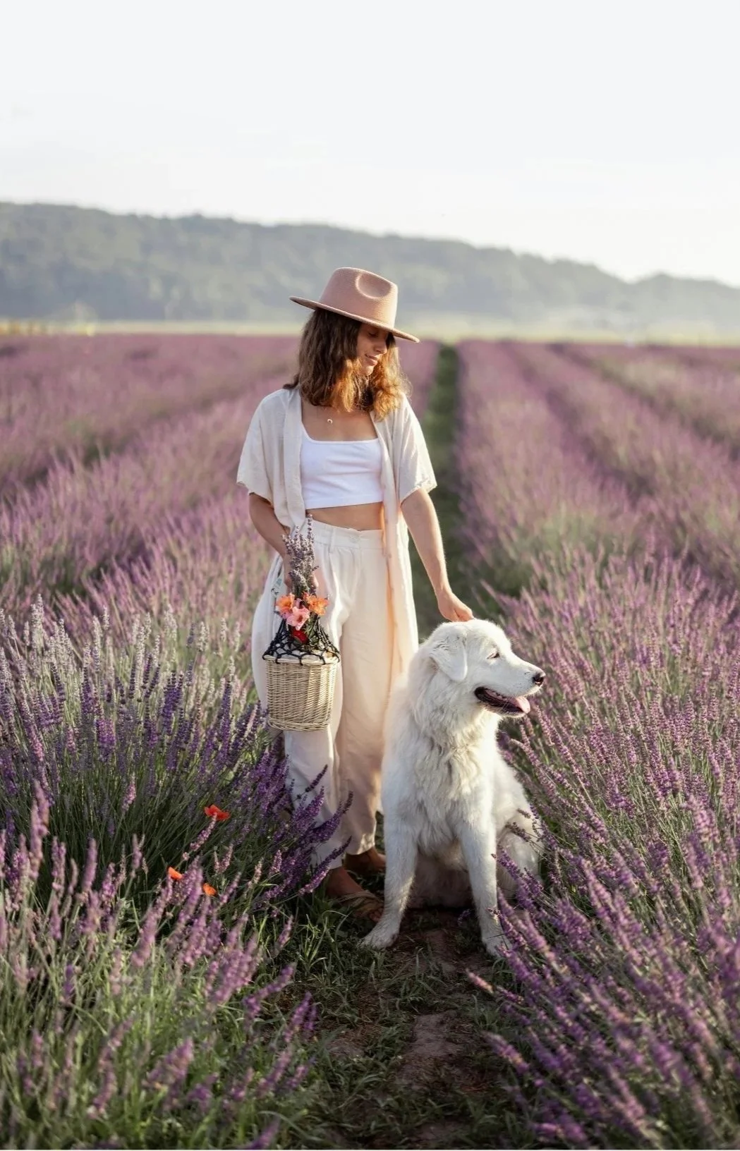 A woman in light clothing, wearing a wide-brimmed hat, stands in a lavender field with a large white dog. She holds a basket with flowers and lavender, and the dog sits attentively beside her. The background features rolling hills and a partly cloudy sky.