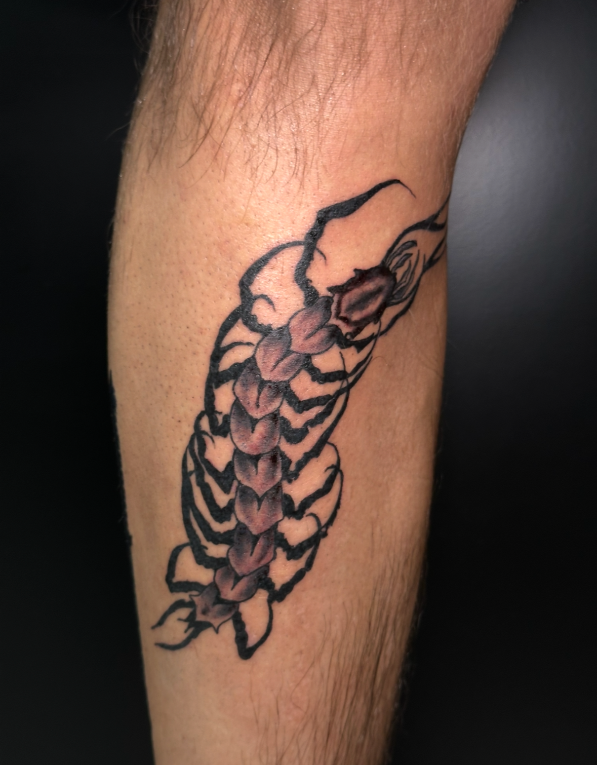 artwork and tattoo by Aiden DeLucia, Delucia Tattoo