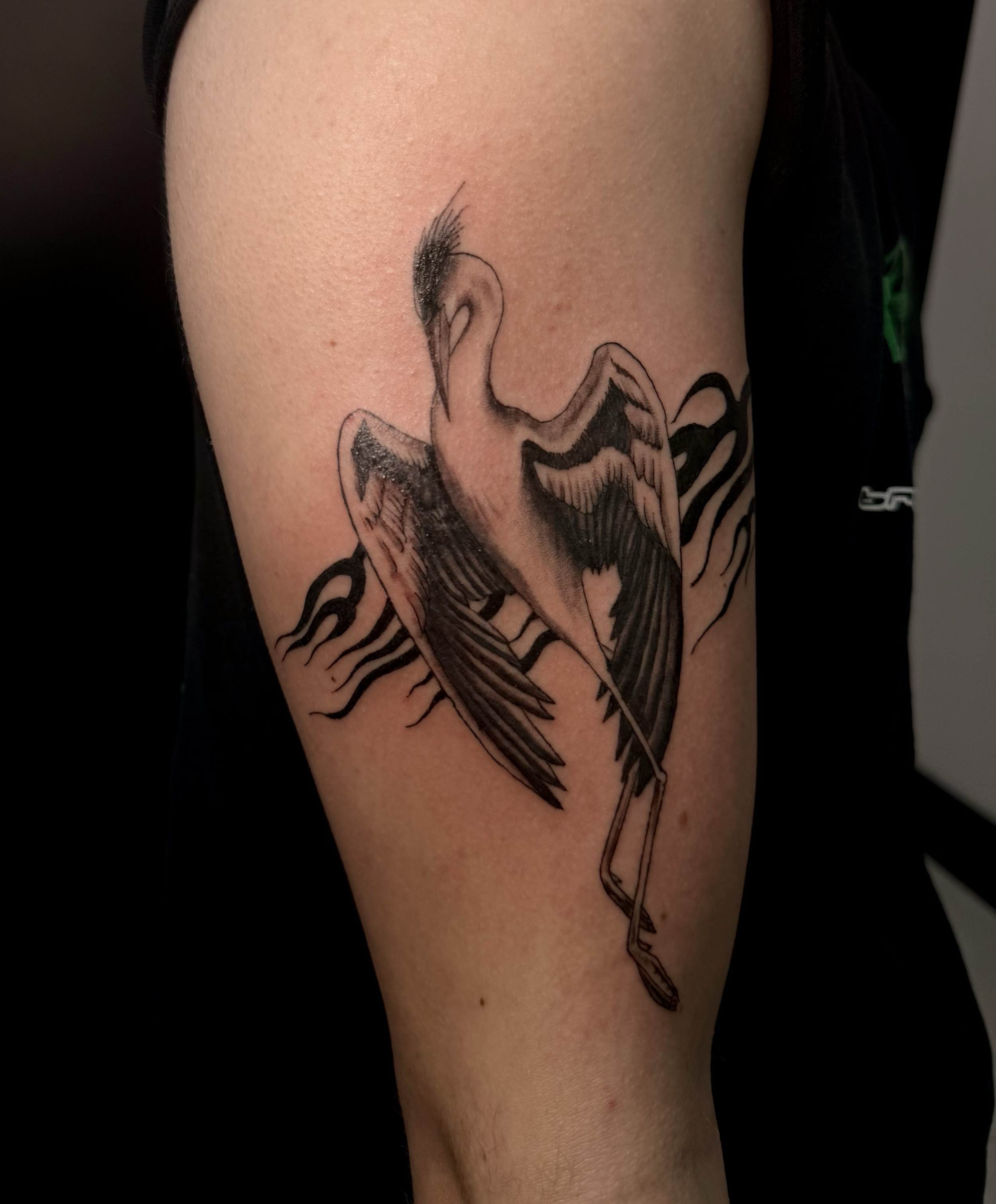 artwork and tattoo by Aiden DeLucia, Delucia Tattoo