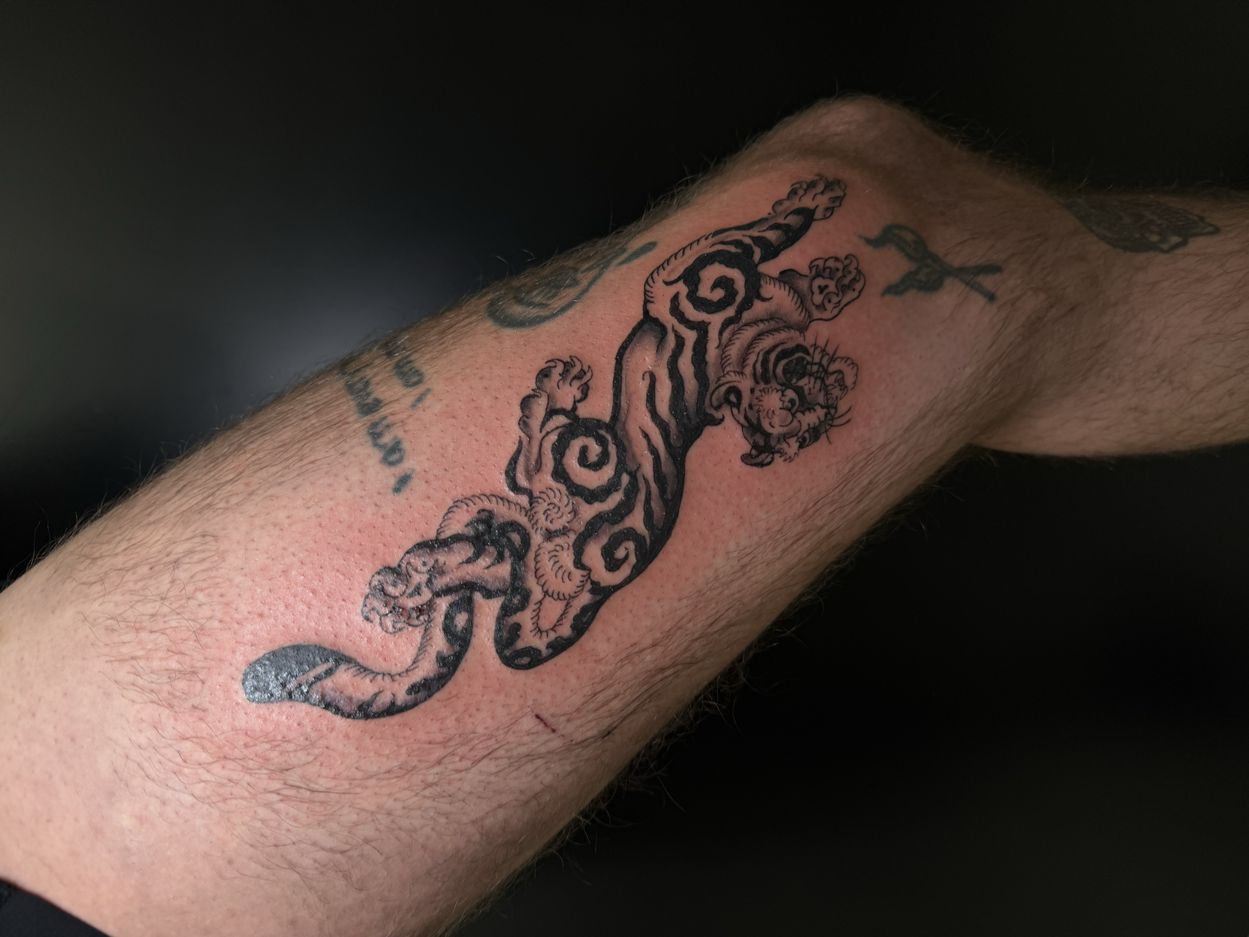 artwork and tattoo by Aiden DeLucia, Delucia Tattoo