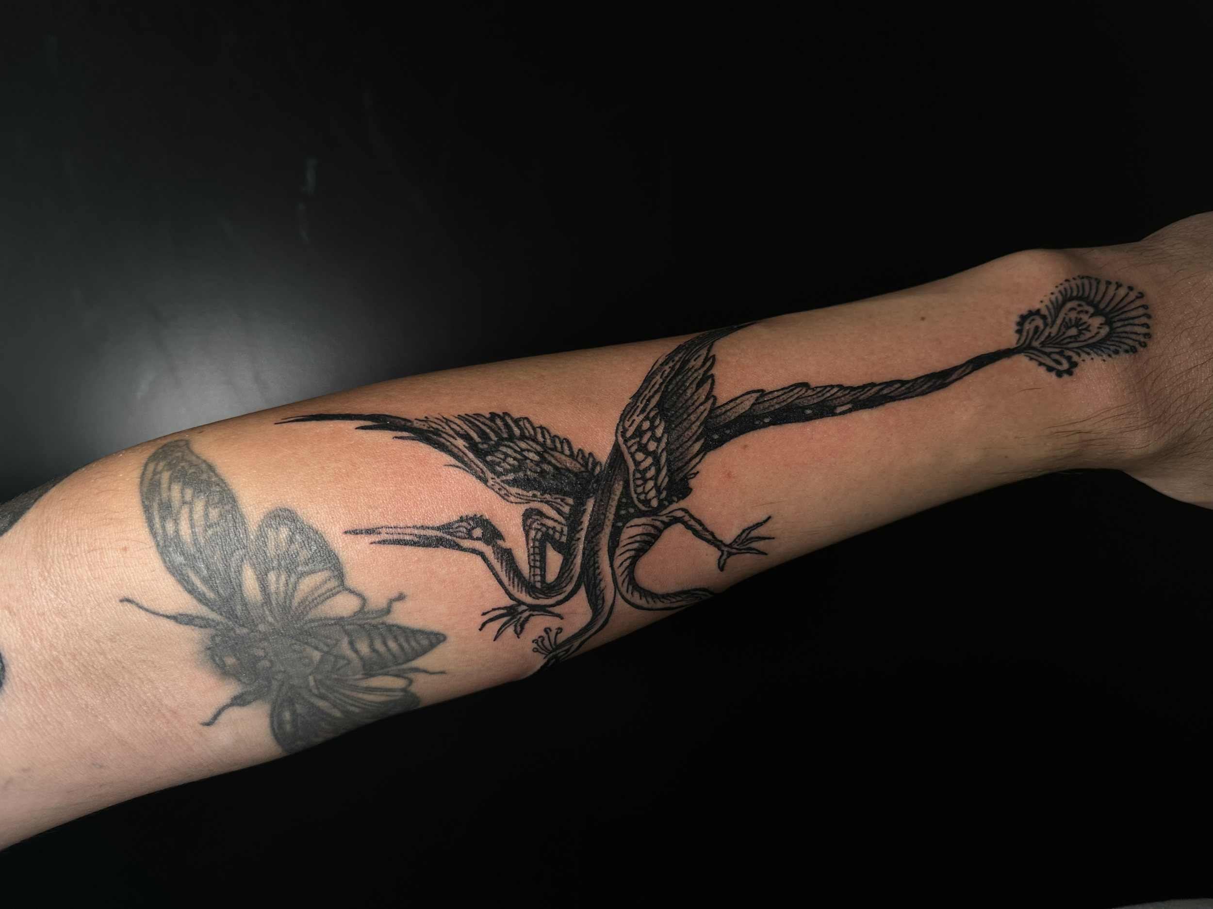 artwork and tattoo by Aiden DeLucia, Delucia Tattoo