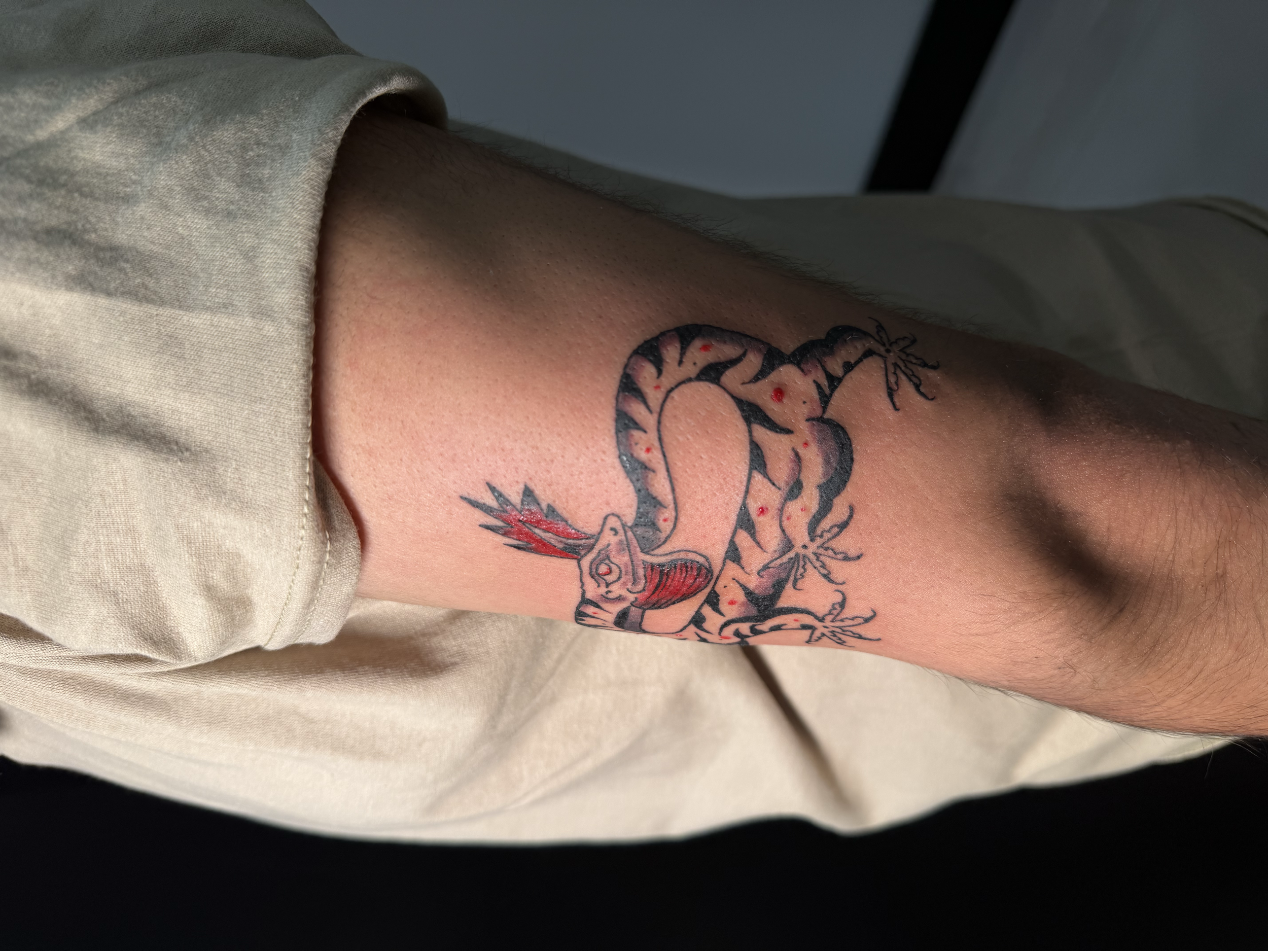 artwork and tattoo by Aiden DeLucia, Delucia Tattoo