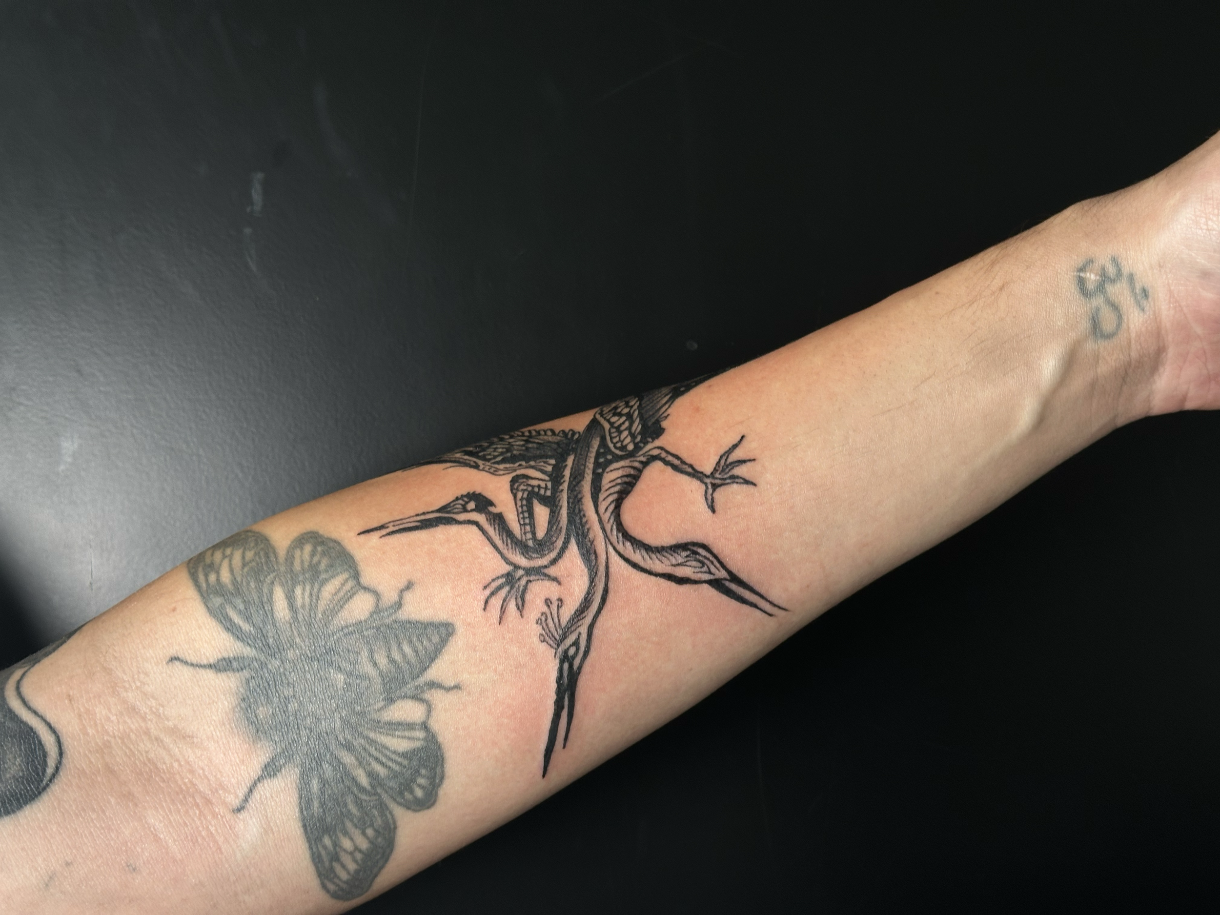 artwork and tattoo by Aiden DeLucia, Delucia Tattoo