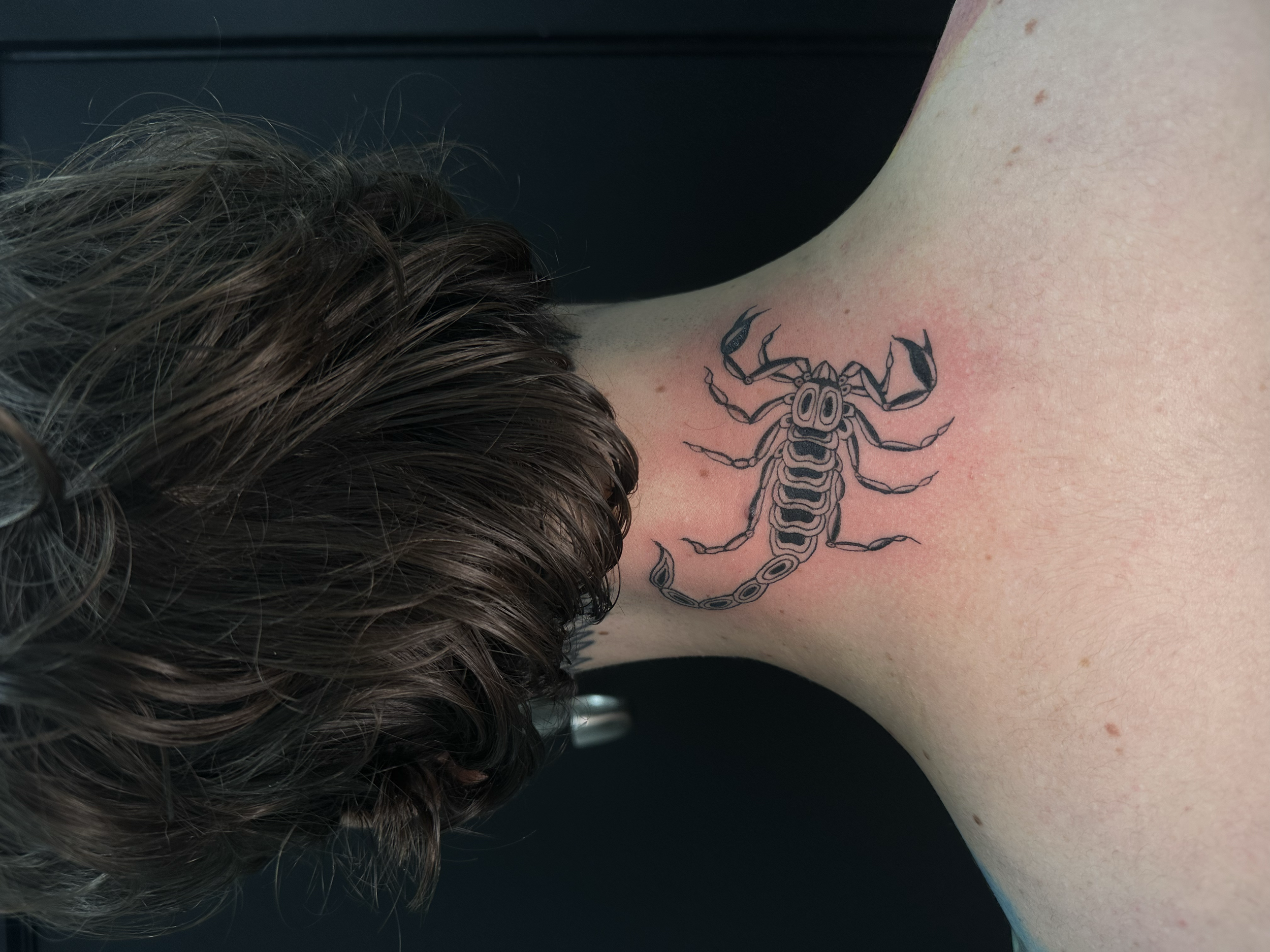artwork and tattoo by Aiden DeLucia, Delucia Tattoo