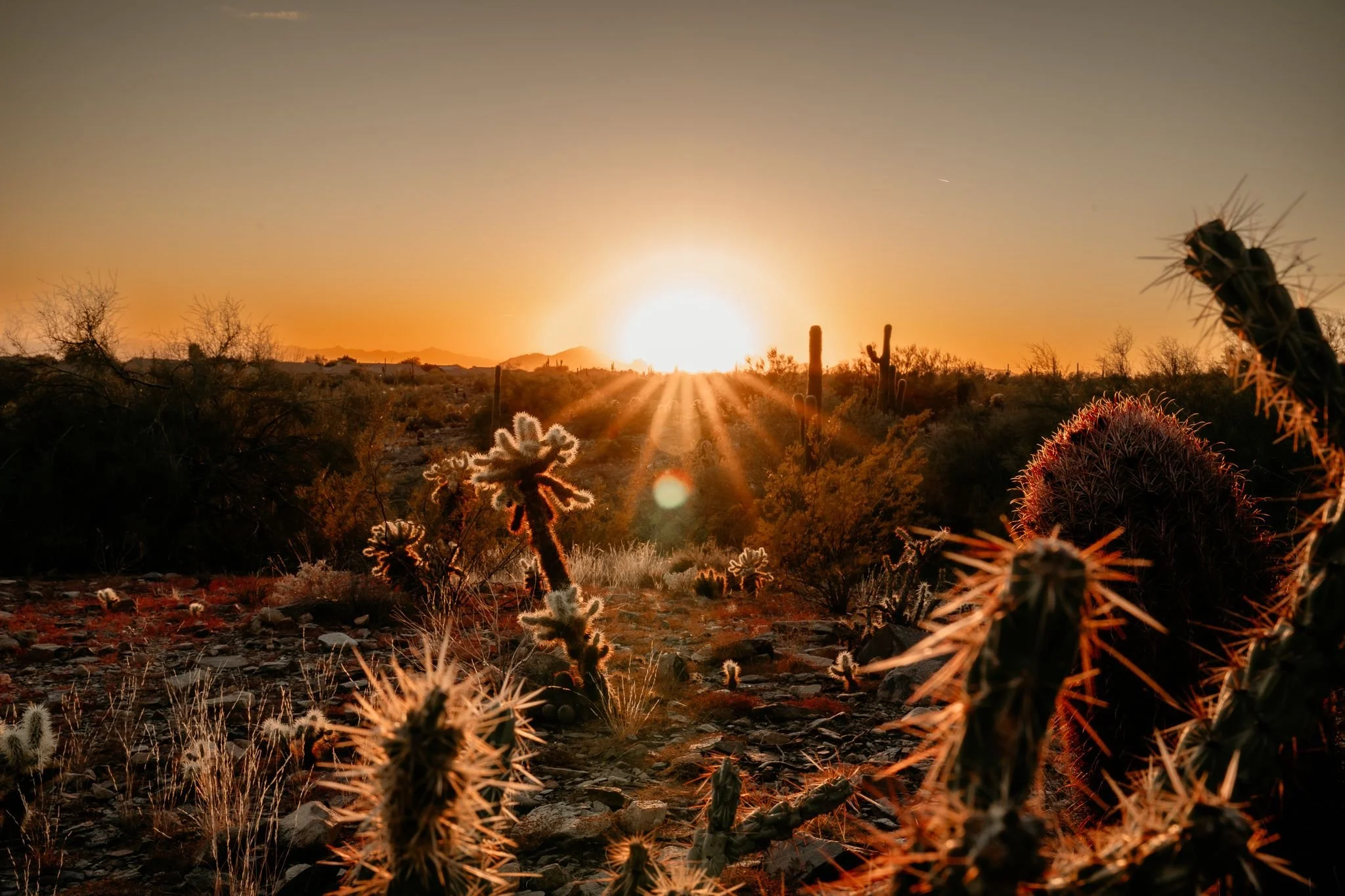 Restaurant recommendations in Paradise Valley / Scottsdale