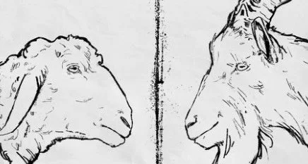 ￼
Sheep + Goats
It&rsquo;s such a common phrase, we use it in everyday vernacular. But it started as a story told to a small group of radical rebels who failed more often than they got it &ldquo;right&rdquo;&mdash;and a story that ends in beauty and 