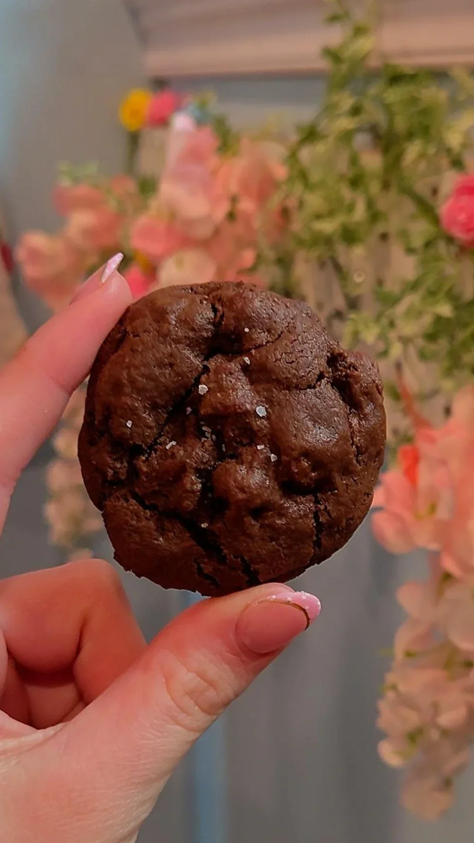 Double Chocolate Cookies