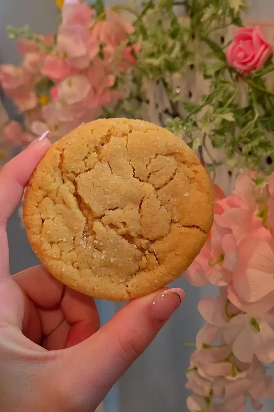 Peanut Butter Cookies