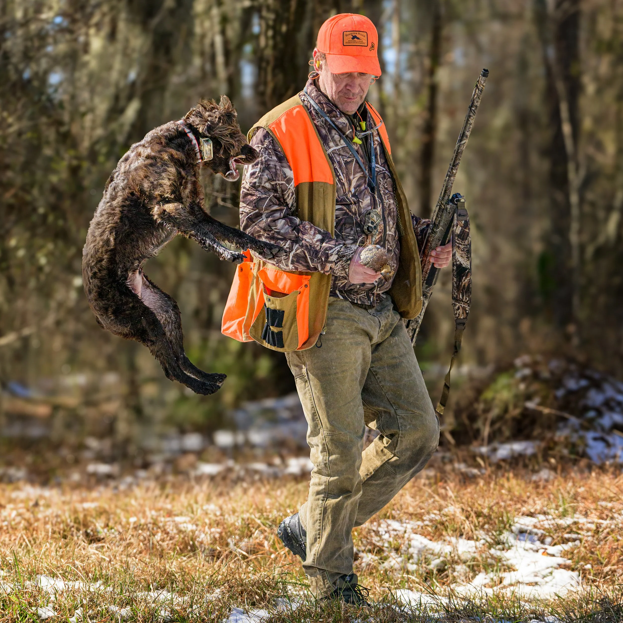 Hunter in blaze-orange gear carrying a harvested wild turkey and bow through a snowy forest