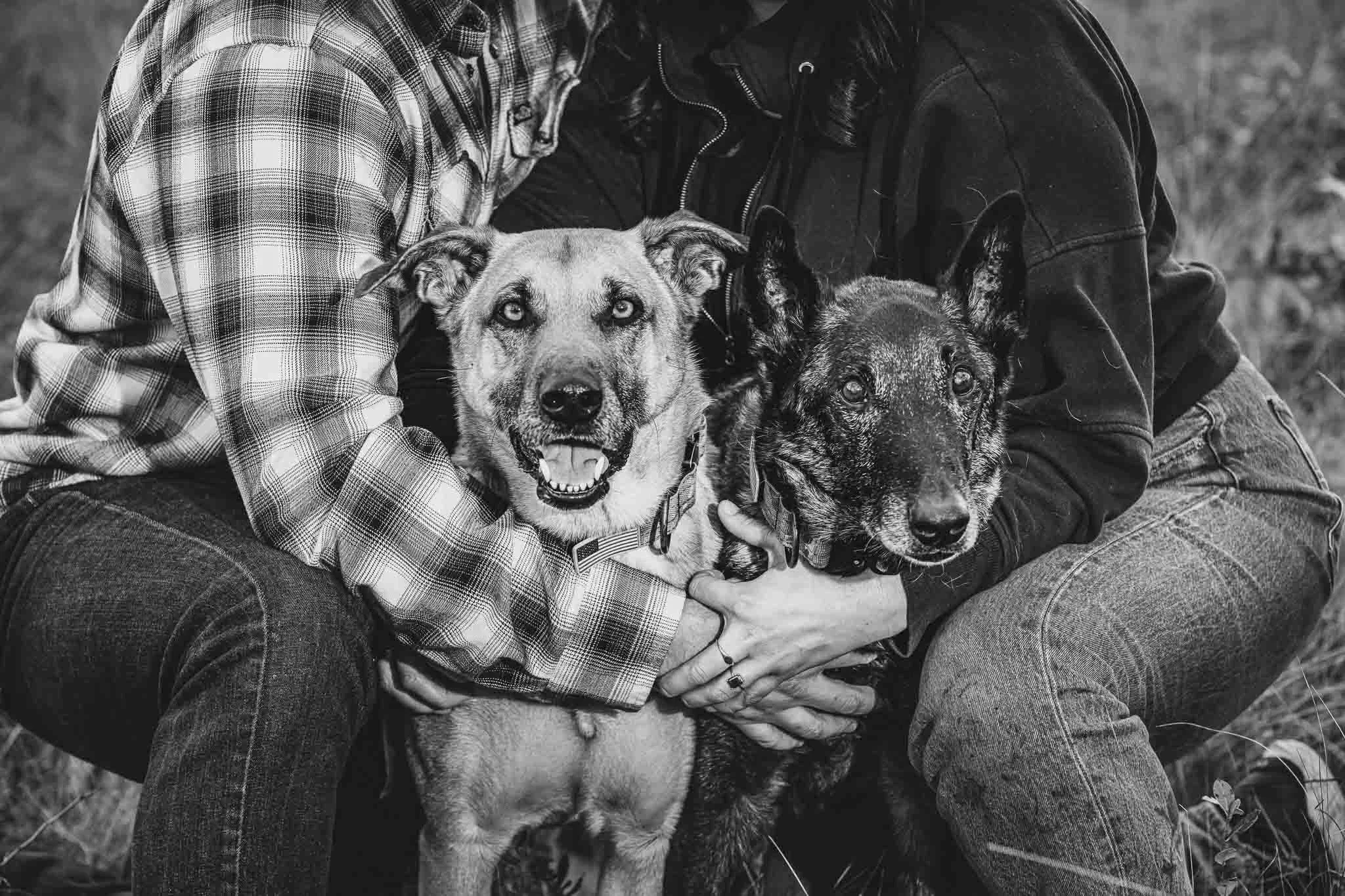 jennifer-wakefield-photography-family-hug-two-dogs-black-and-white-legacy-session.jpg