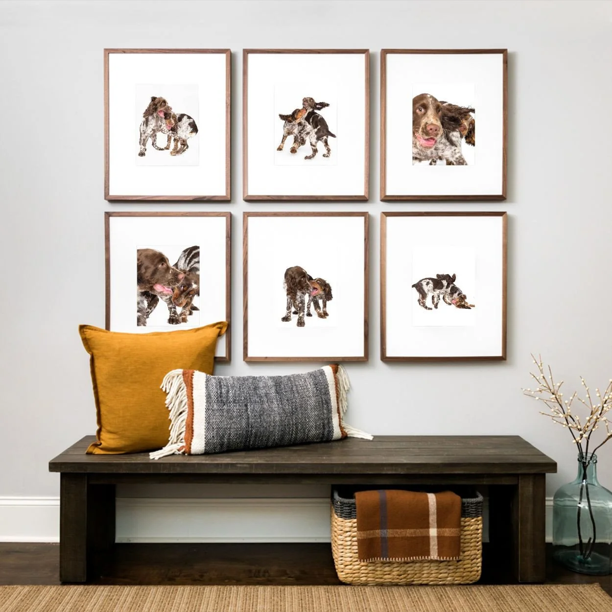 Gallery grouping of six framed portraits of two playful spaniels above a bench”