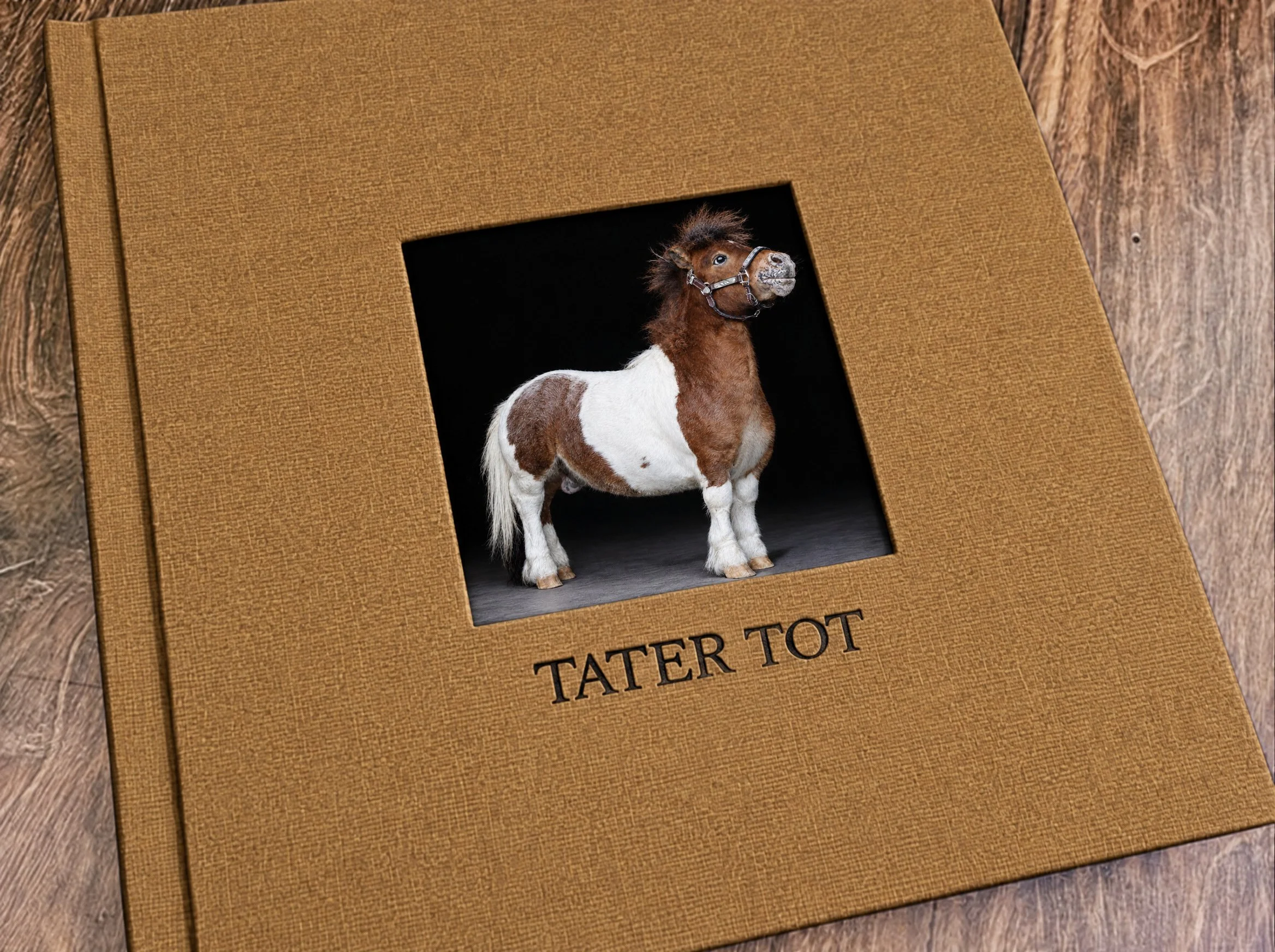 Tan linen fine art album with a cover window showing a brown and white miniature horse in a halter against a black background, titled Tater Tot