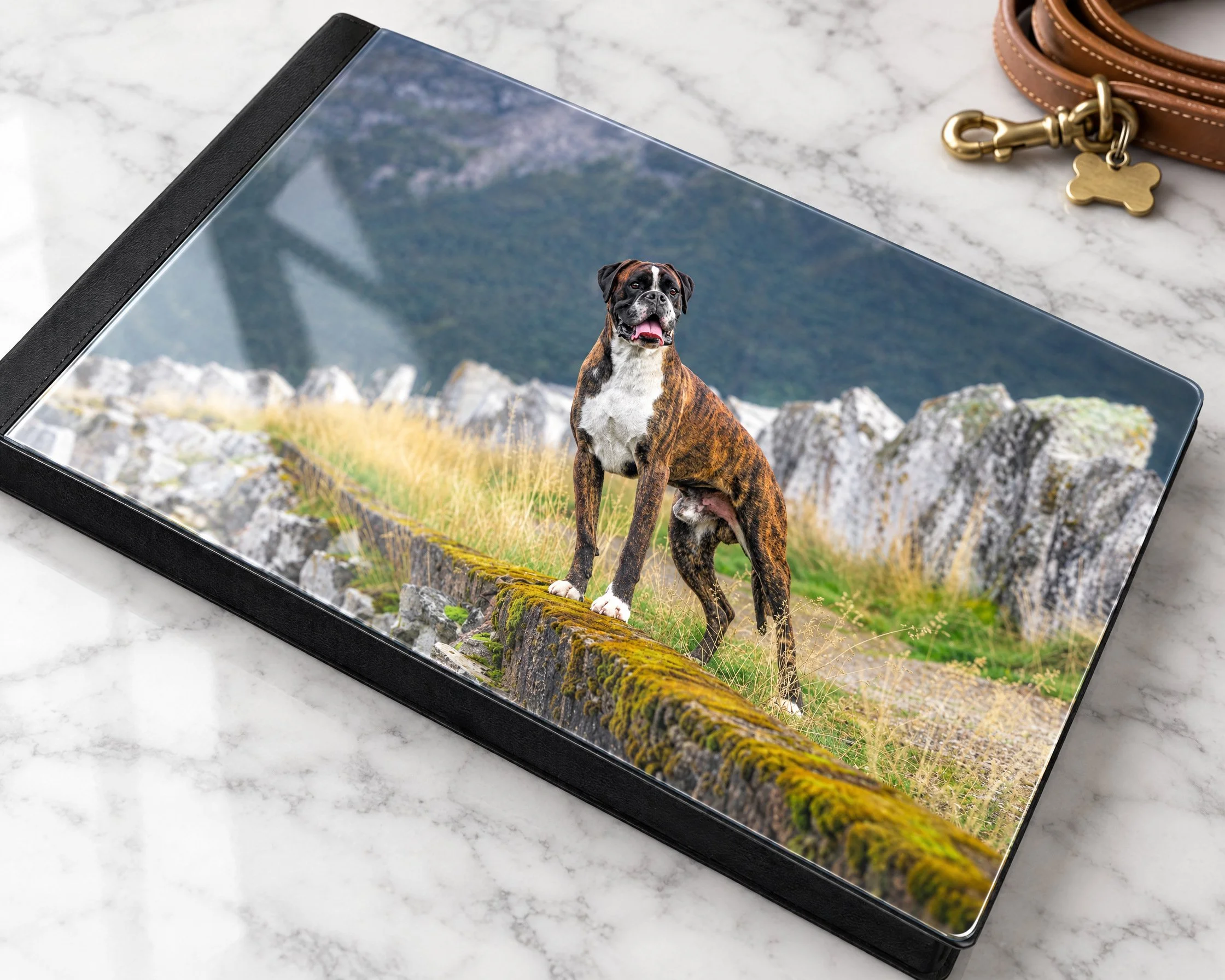 Black leather folio album with a clear acrylic cover showing a brindle boxer standing on a moss-covered stone wall with mountains behind