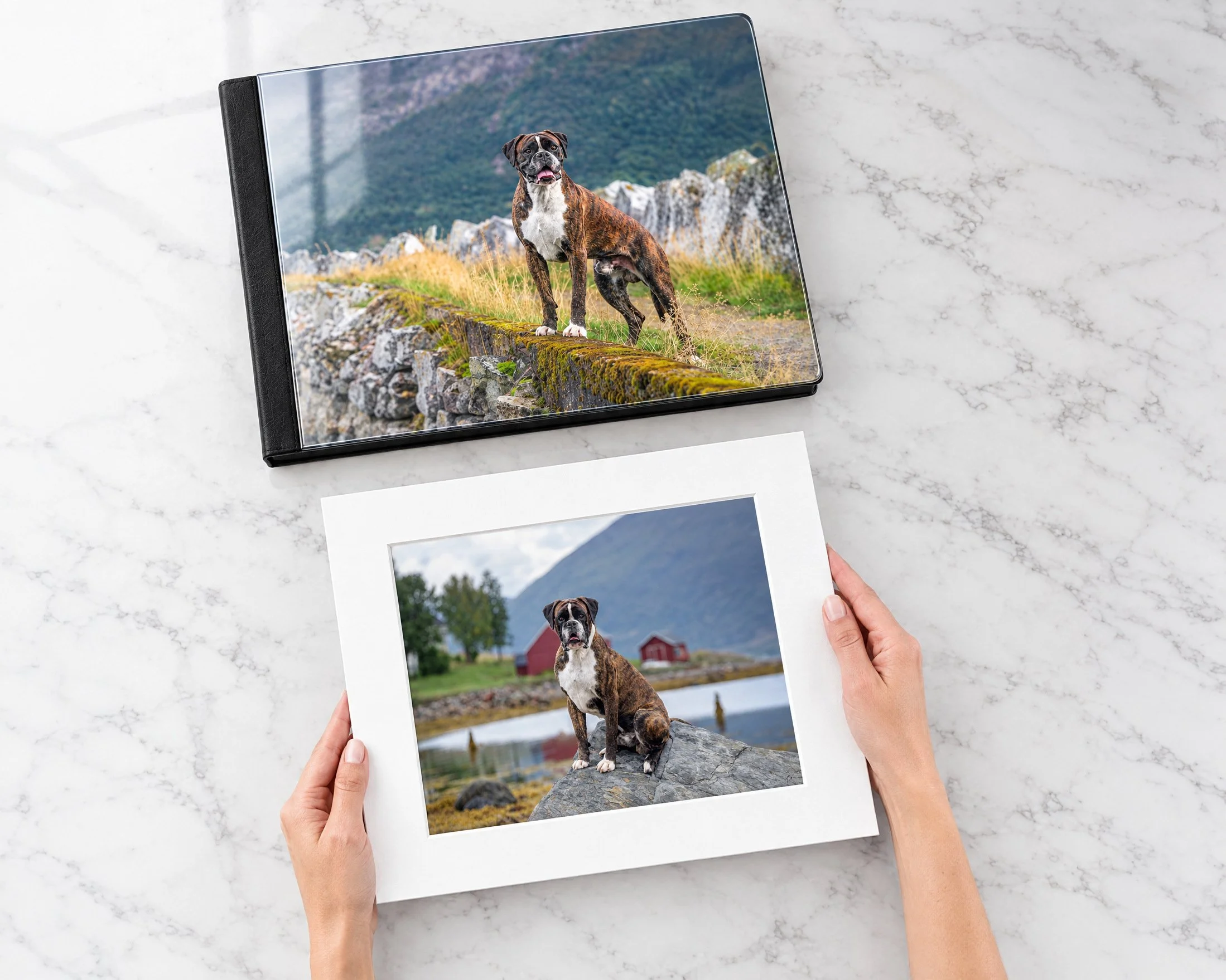 Hands holding a matted print of a brindle boxer sitting on a rock by a fjord with red houses, below a black folio album on a marble table