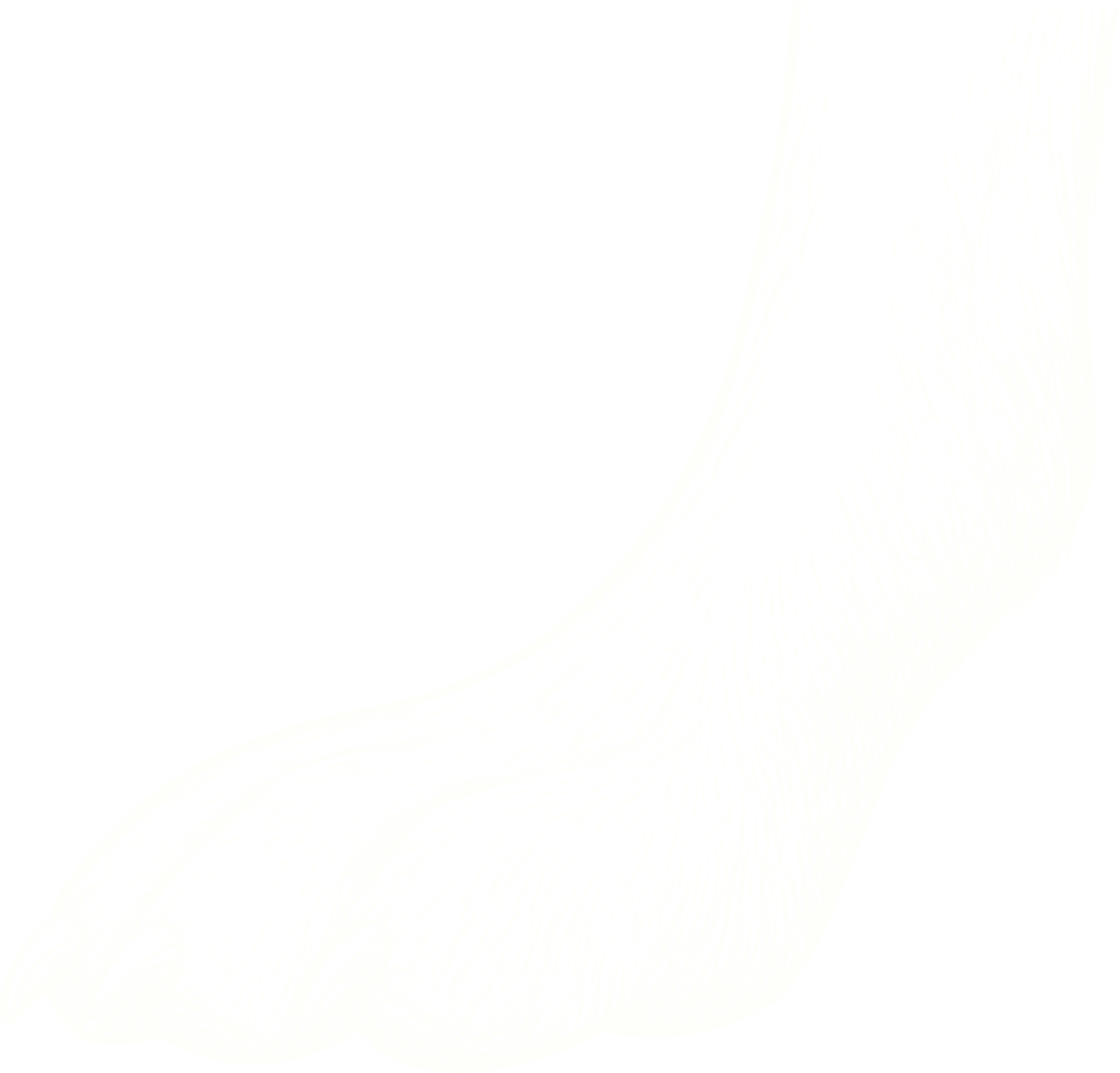 Black-and-white line drawing of a bird in side profile with detailed feathers and a pointed beak