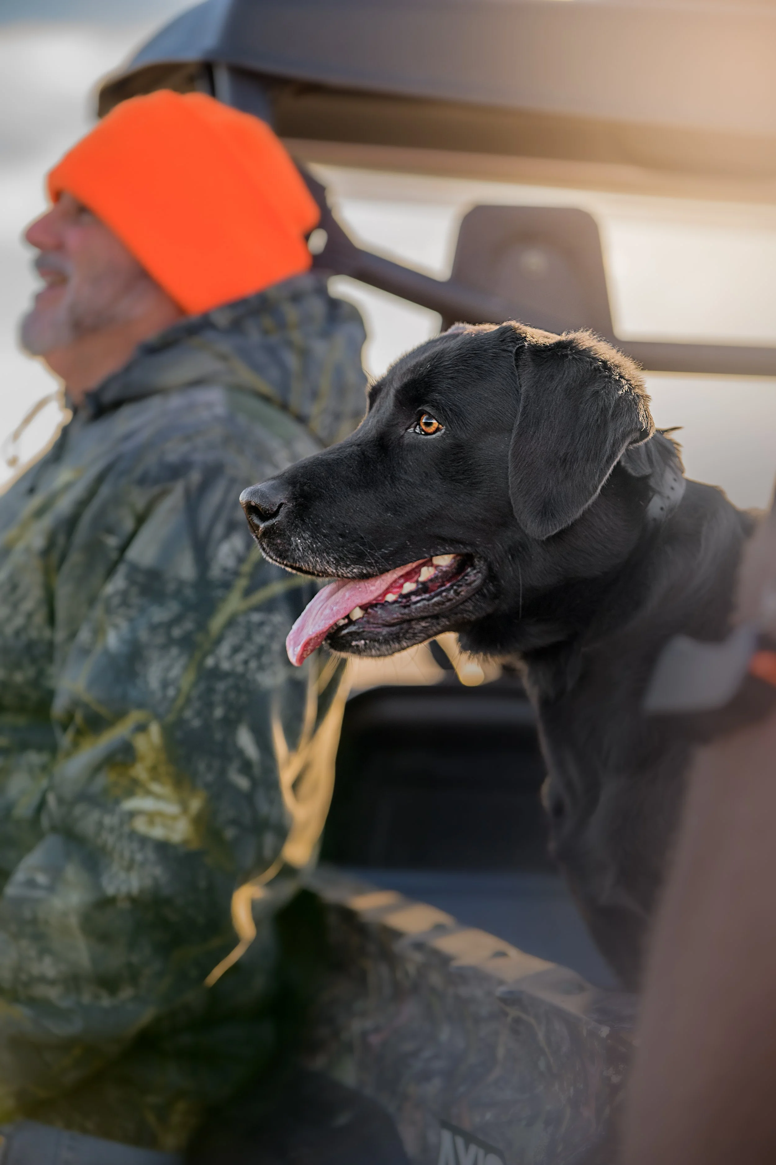 Black dog sitting beside a person wearing an orange hat outdoors
