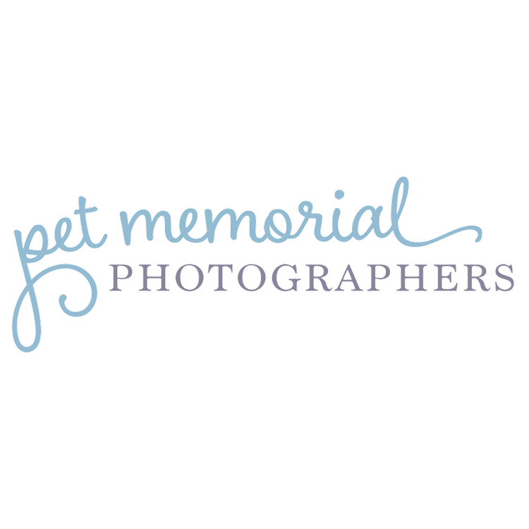 Get Memorial Photographers logo in blue and lavender lettering on a black background