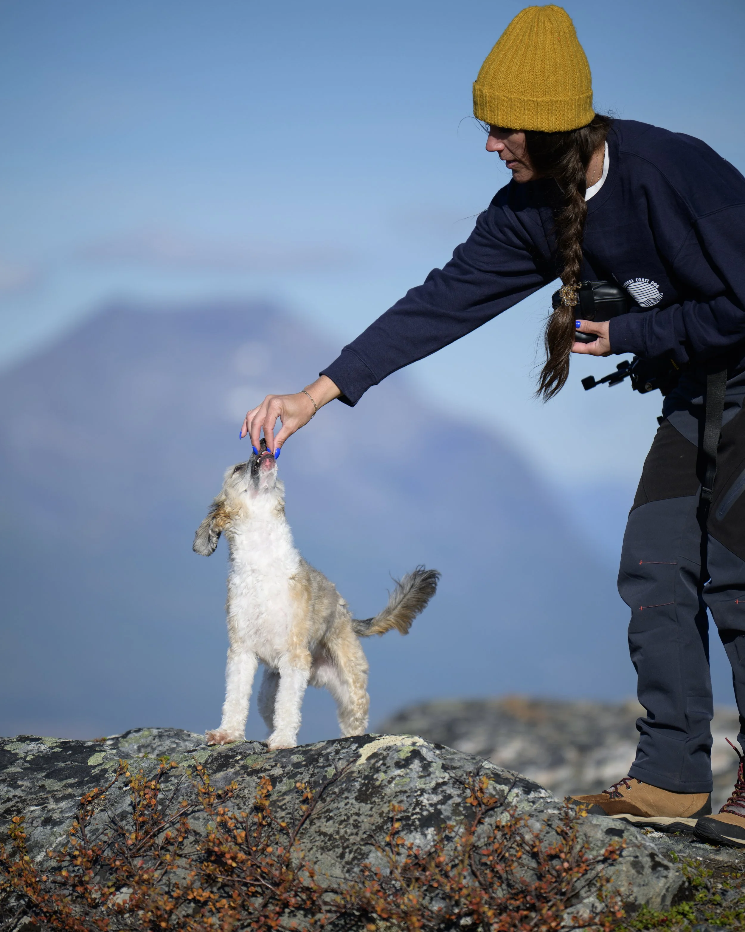 Jennifer Wakefield offers a treat to a small scruffy dog standing on a lichen-covered boulder with mountains behind them.