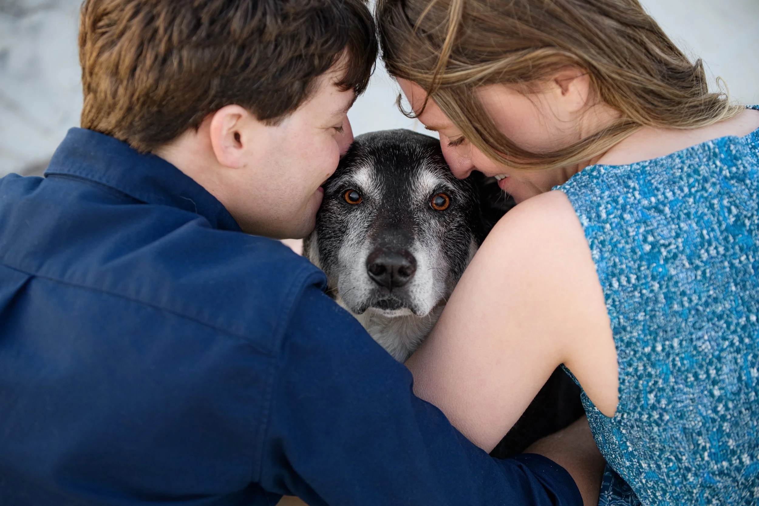 Couple hugging and kissing a black-and-gray dog between them