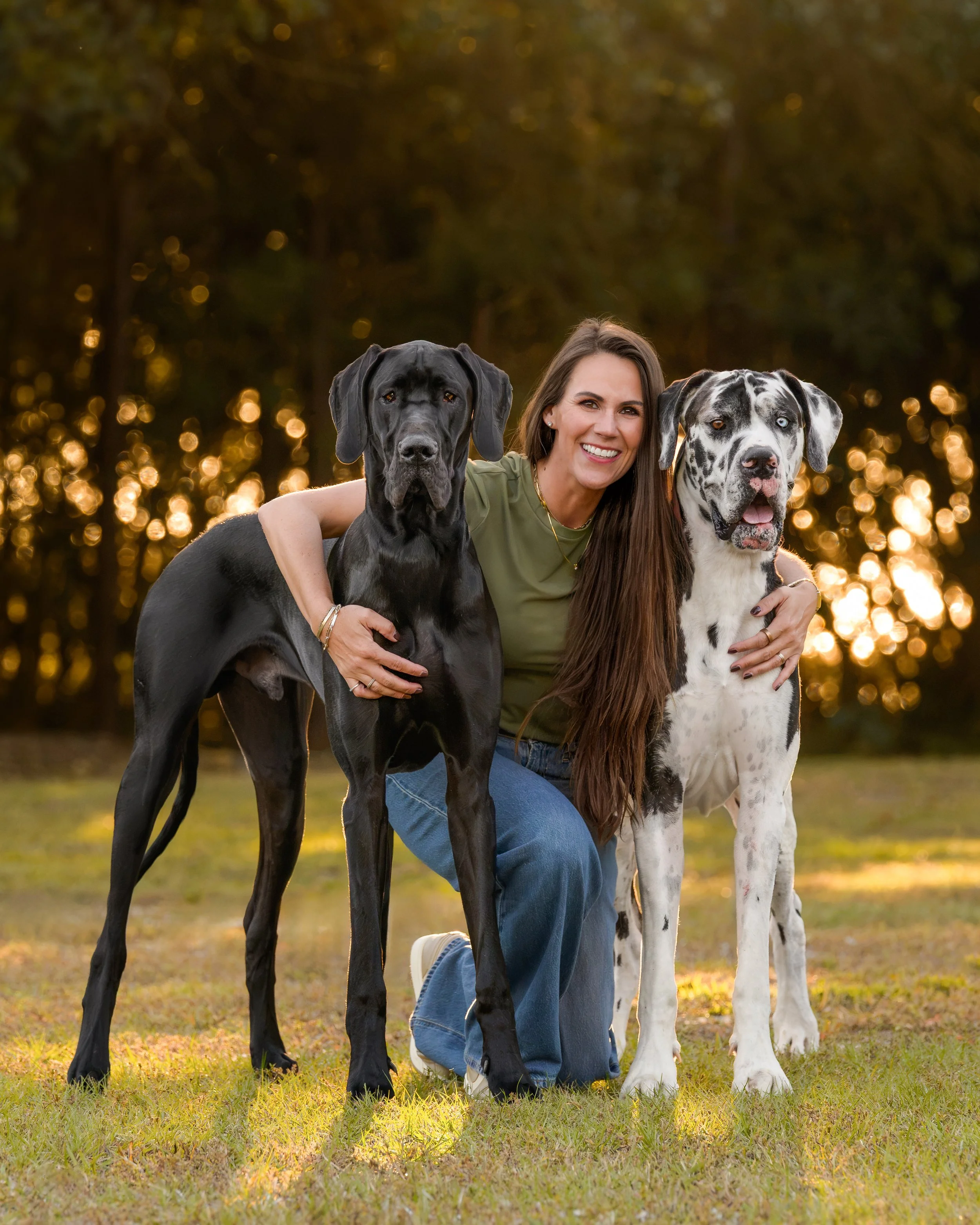 Smiling woman kneeling outdoors with two Great Danes, one black and one black-and-white merle, in warm sunlight