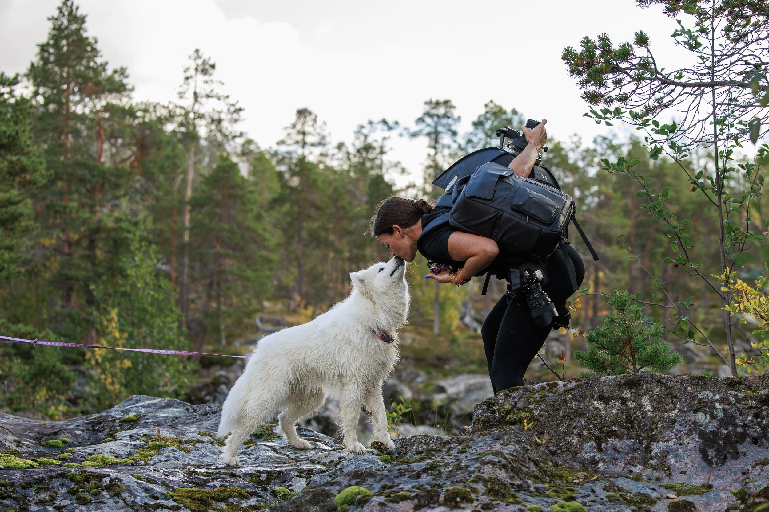 Jennifer, carrying a camera backpack and lighting gear, leans down to kiss a fluffy white dog on a mossy rock in a pine forest in Norway.