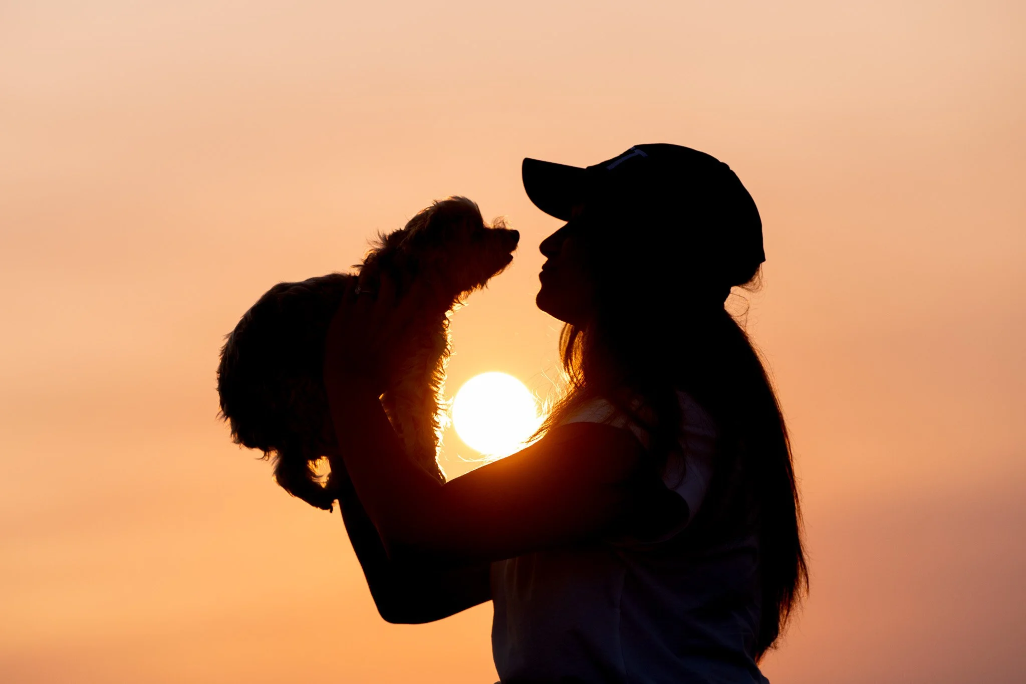Silhouette of a woman in a baseball cap holding a small dog against an orange sunset