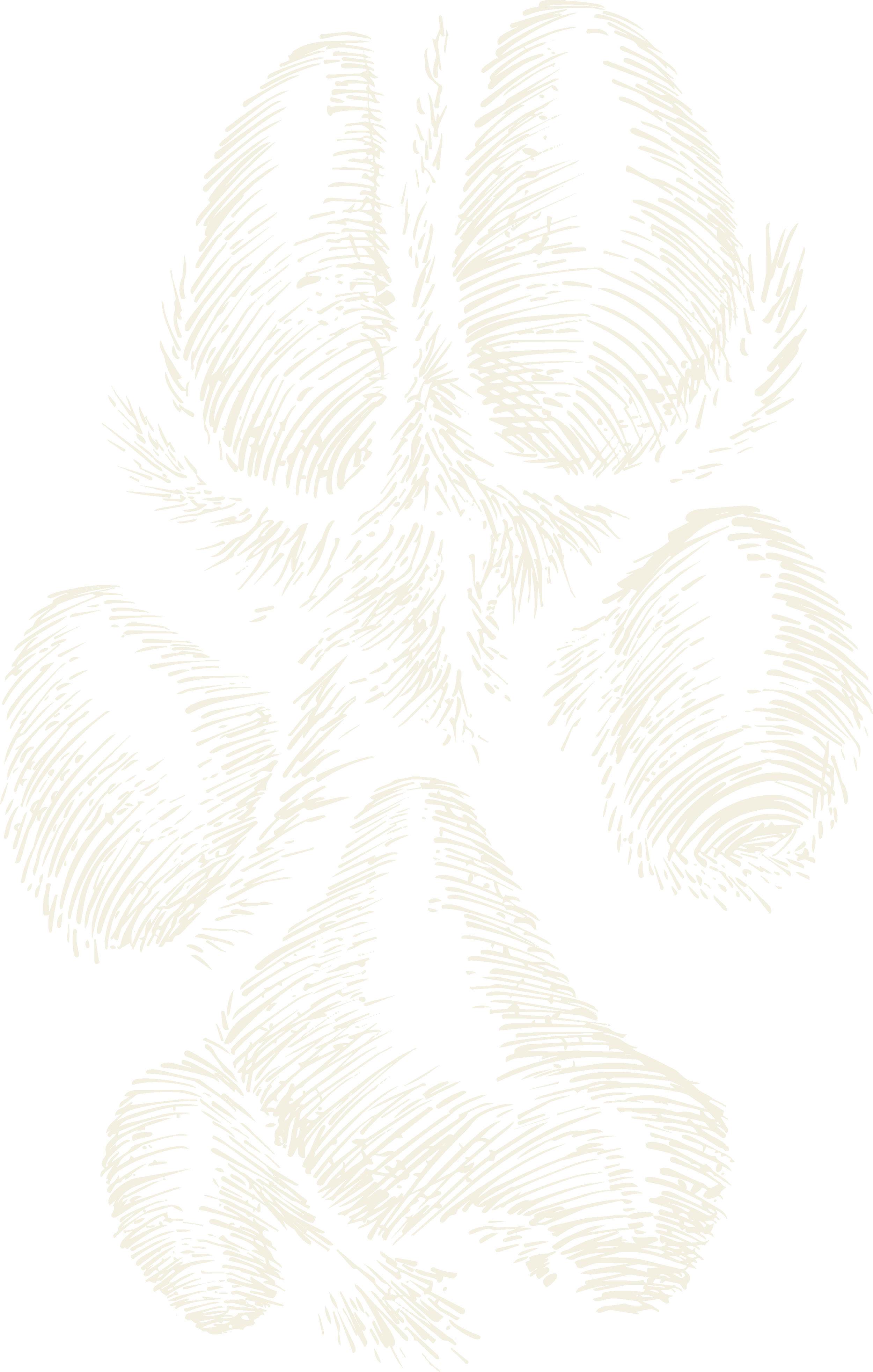 Monochrome hand-drawn illustration of overlapping tropical palm leaves on a black background