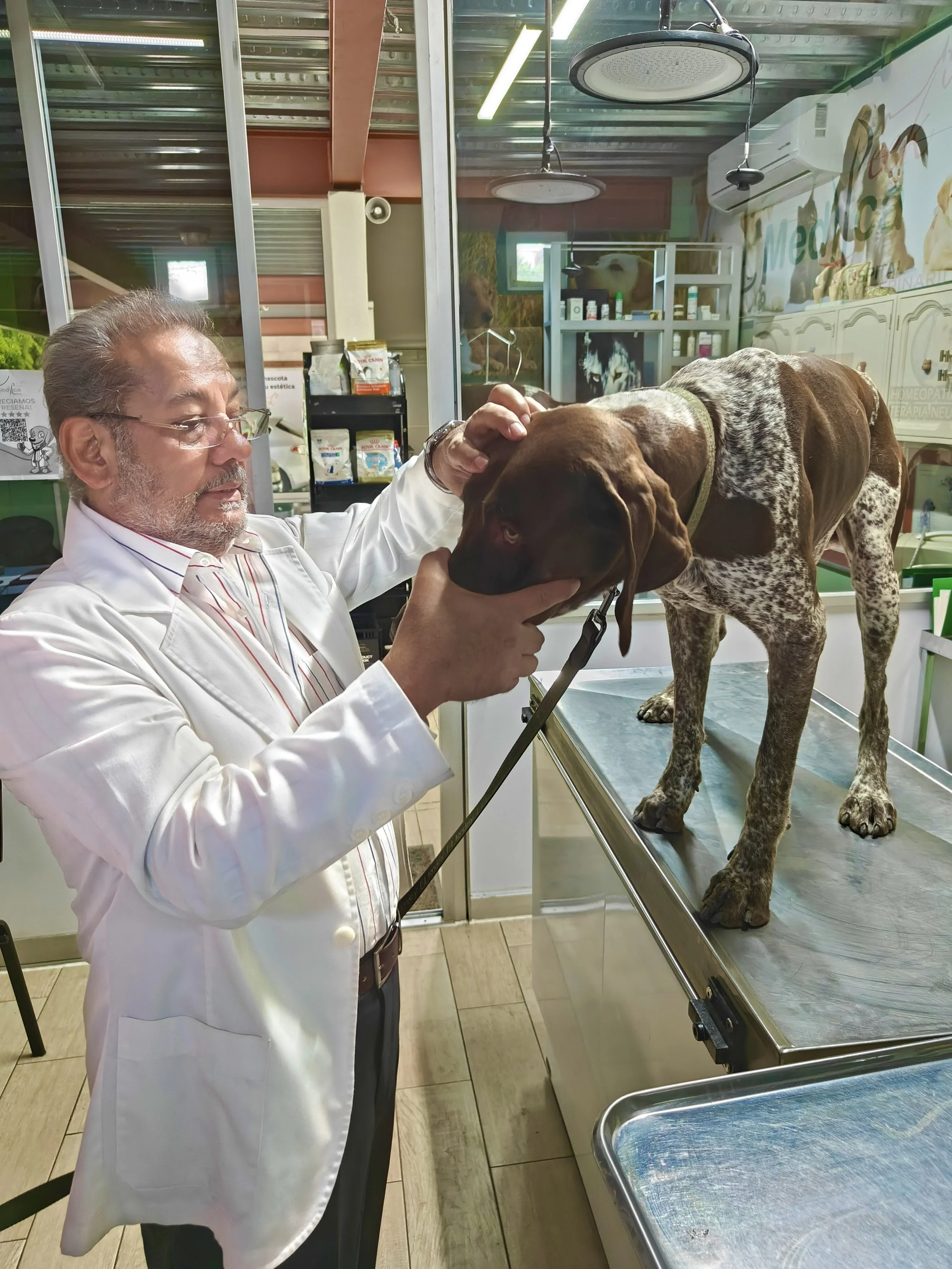 Especialista veterinario