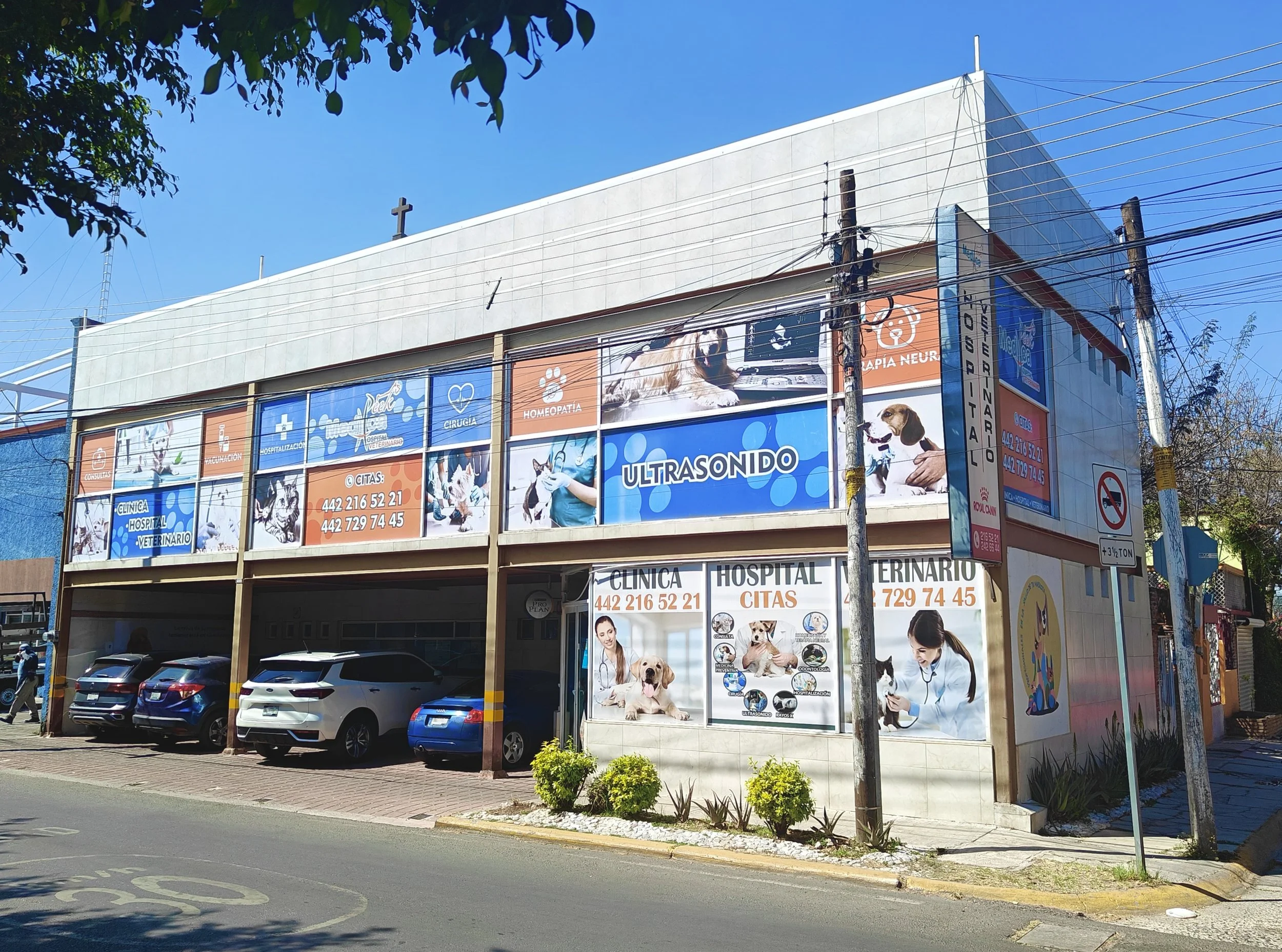 Clinica veterinaria