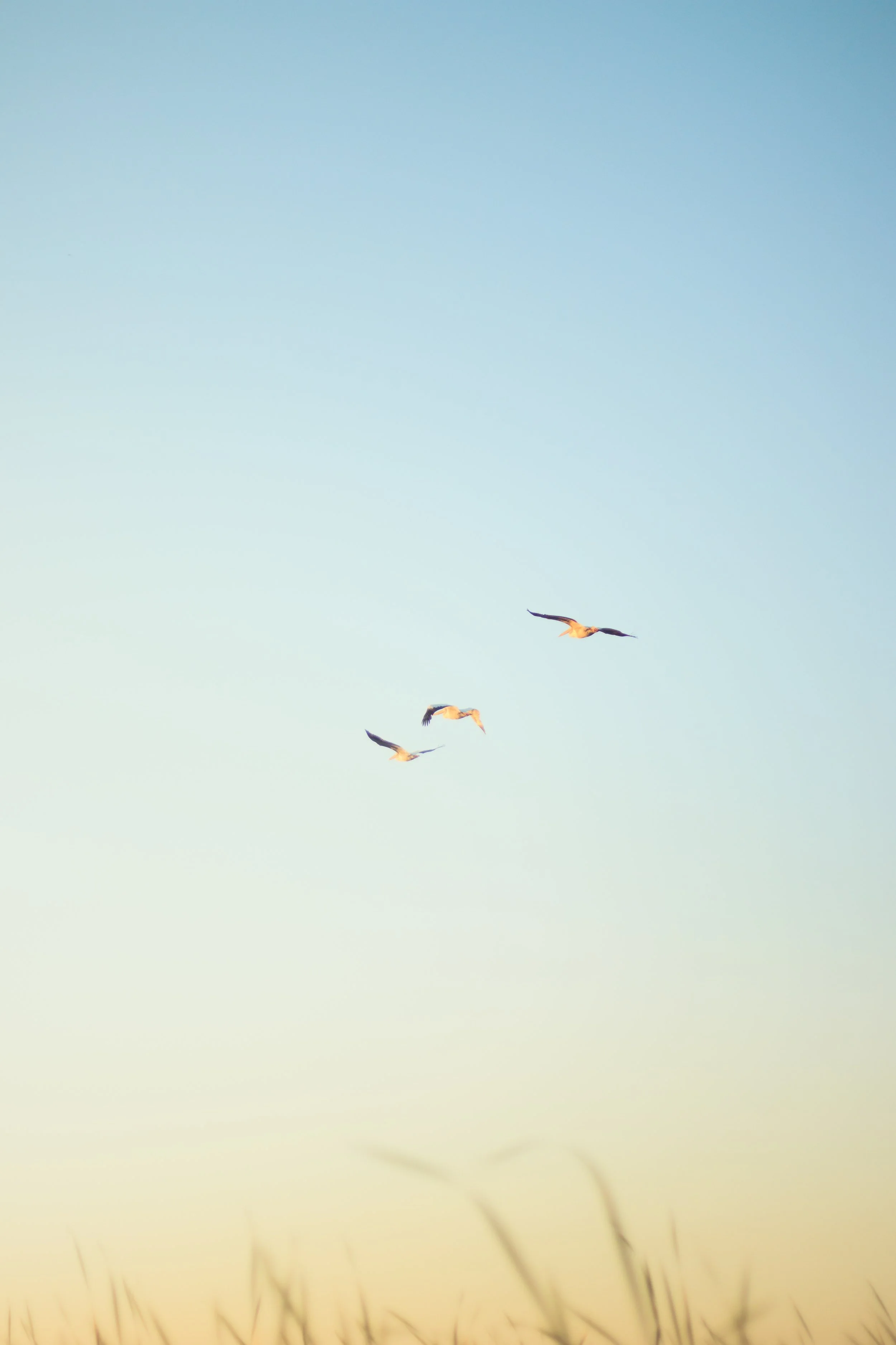 _MG_5710.jpg