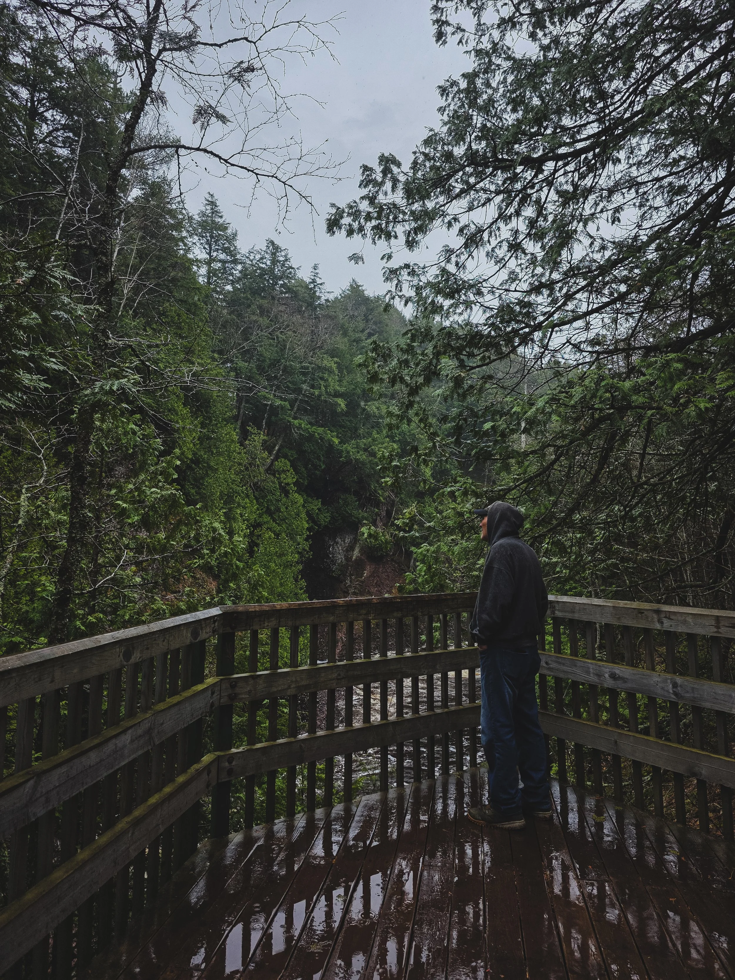 20260427_144449 (1).jpg