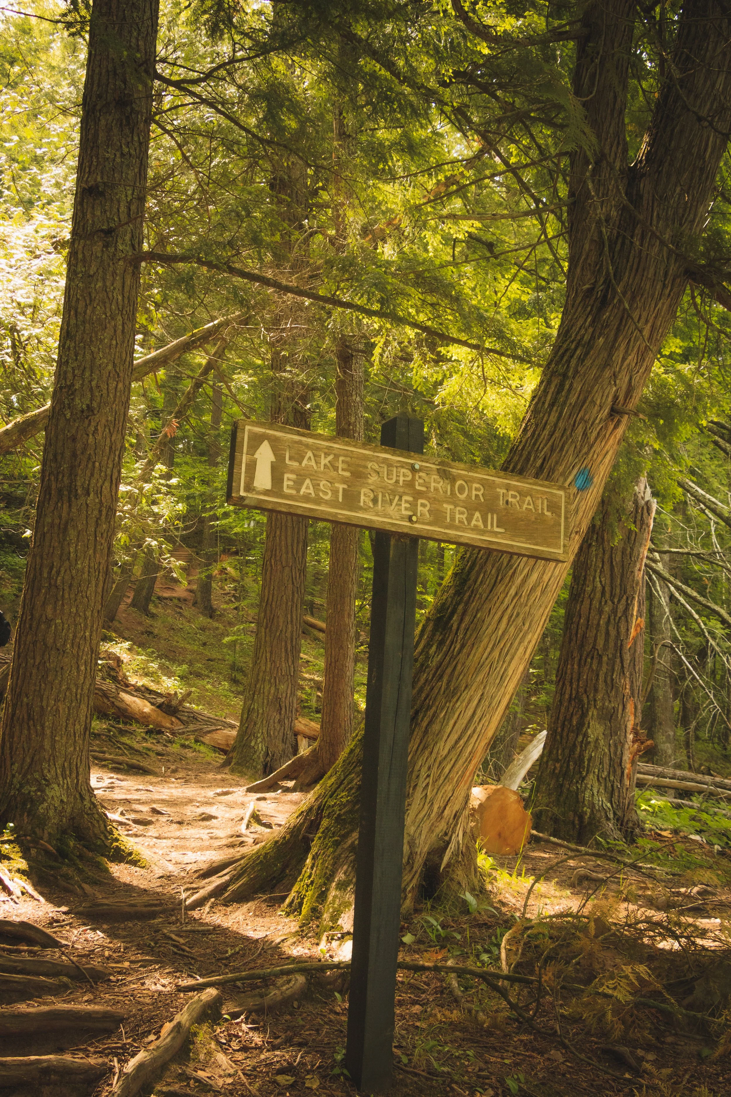 _MG_3897.jpg