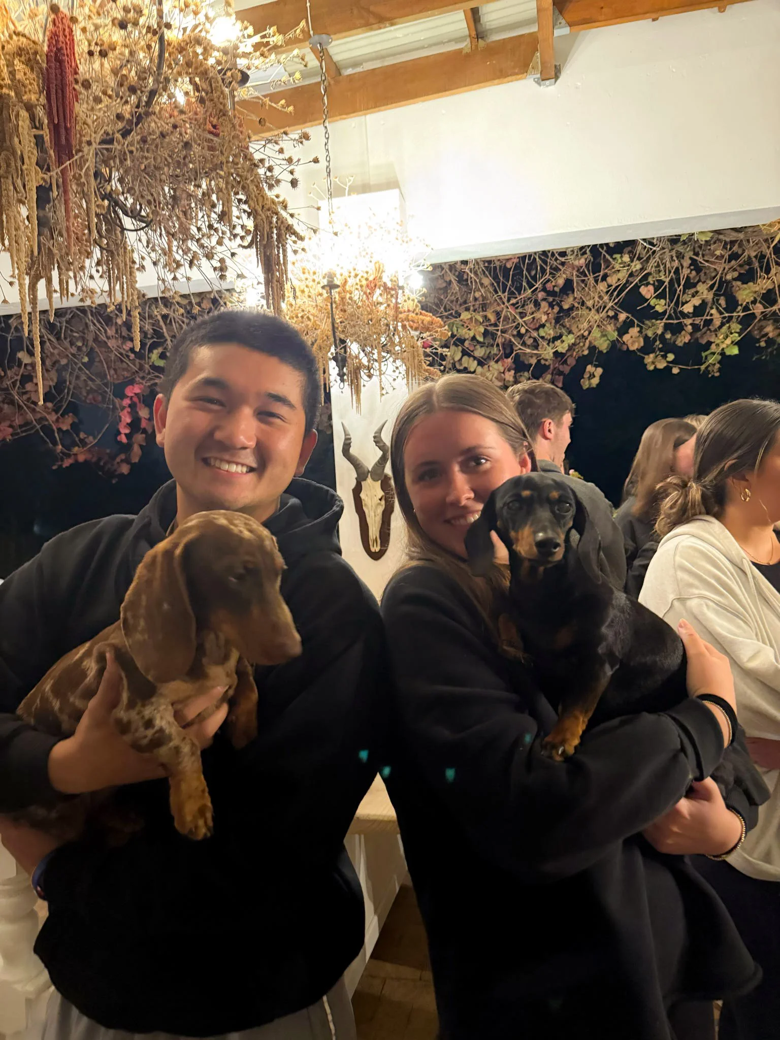 Two people holding puppies in a room decorated with hanging dried flowers and animal skull wall art, smiling at the camera.