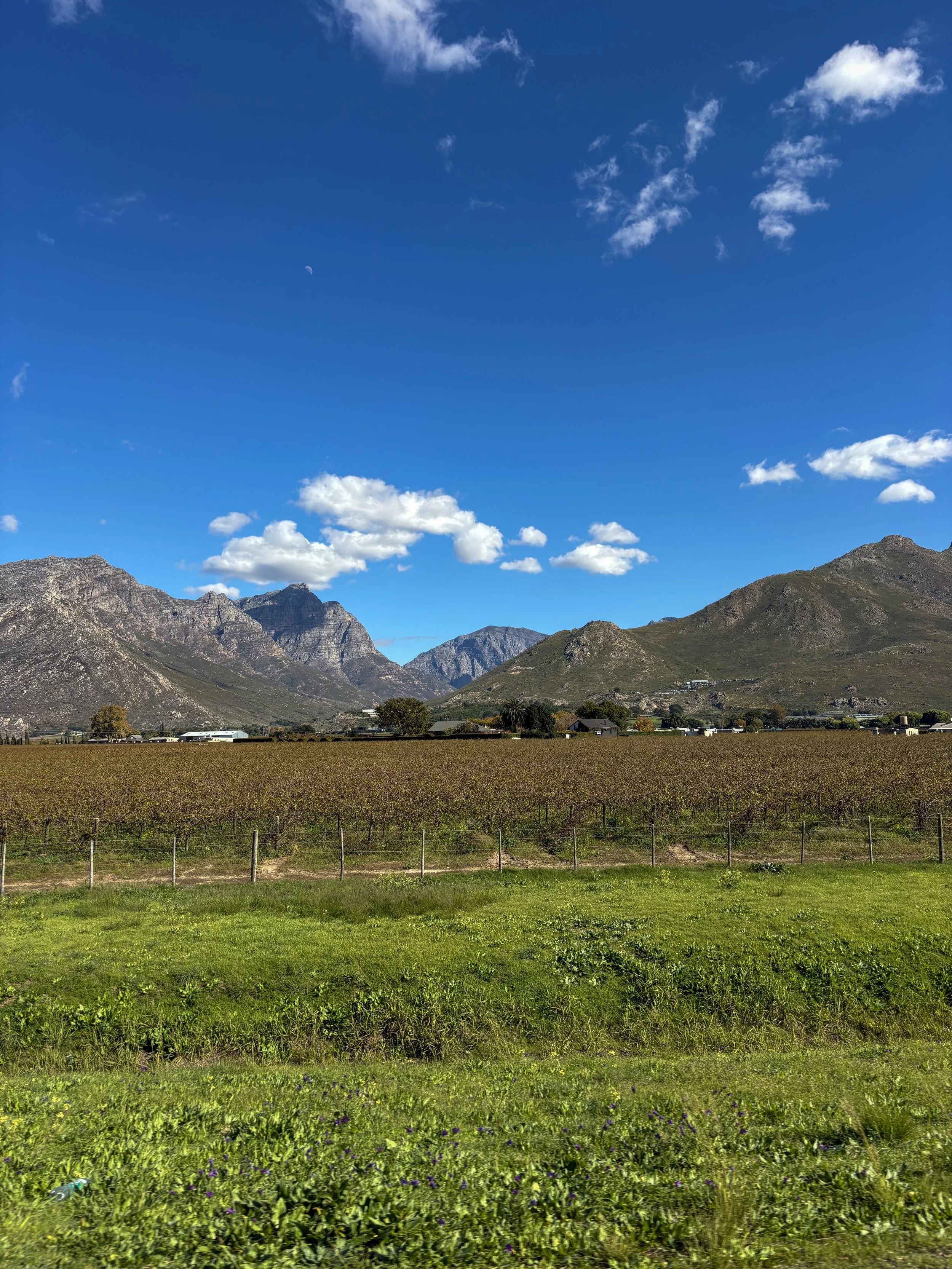 Green field with vineyard rows in the foreground, hills and mountains in the background, under a blue sky with scattered clouds and a visible moon.