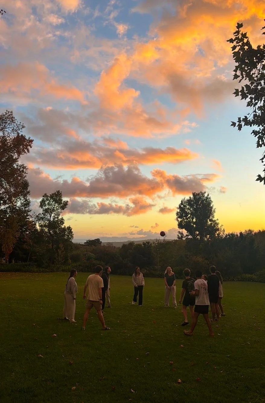 People playing a game with a ball in a park during sunset, with colorful clouds and trees in the background.